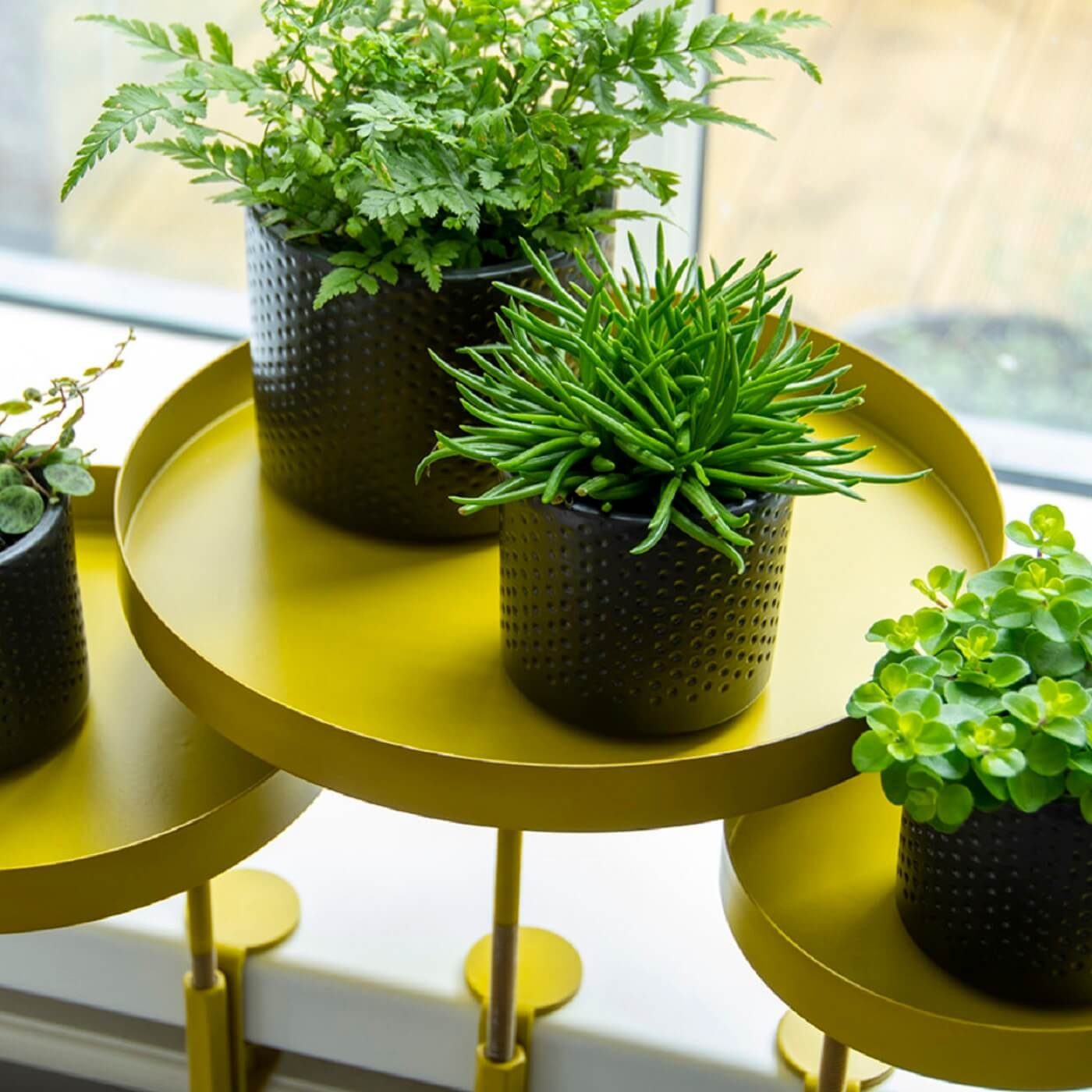 Esschert Design BV esschert Topf mit Tablett Halter Klemme Tisch Bank Fenster gold gelb design Blumen rund Pflanzen Blumenkasten