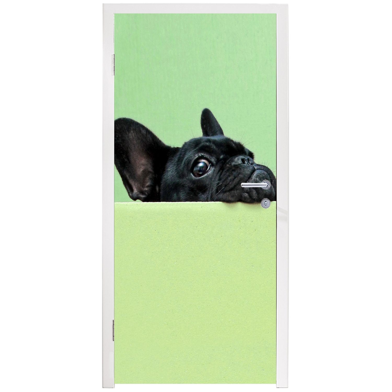 bedruckt, Fototapete Bulldogge Matt, für Tür, Französische - Türtapete Grün MuchoWow St), 75x205 Türaufkleber, Schwarz, (1 - cm