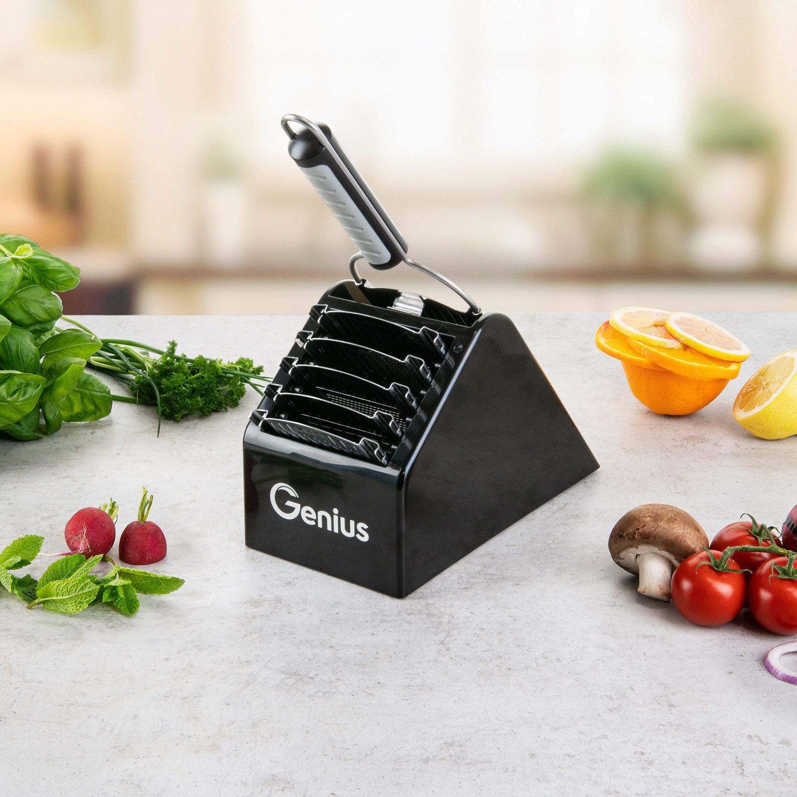 Genius Zubehöraufbewahrungsständer Nicer Dicer Speed, zum platzsparenden Verstauen des Nicer Dicer Speed inkl. Zubehör