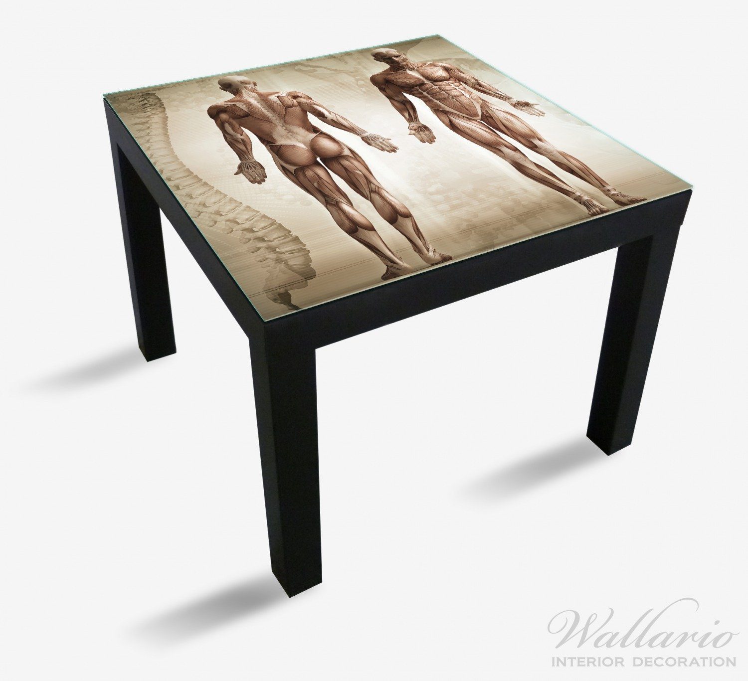 Wallario Tischplatte Anatomie Mensch I (1 für geeignet Ikea Lack Tisch St)