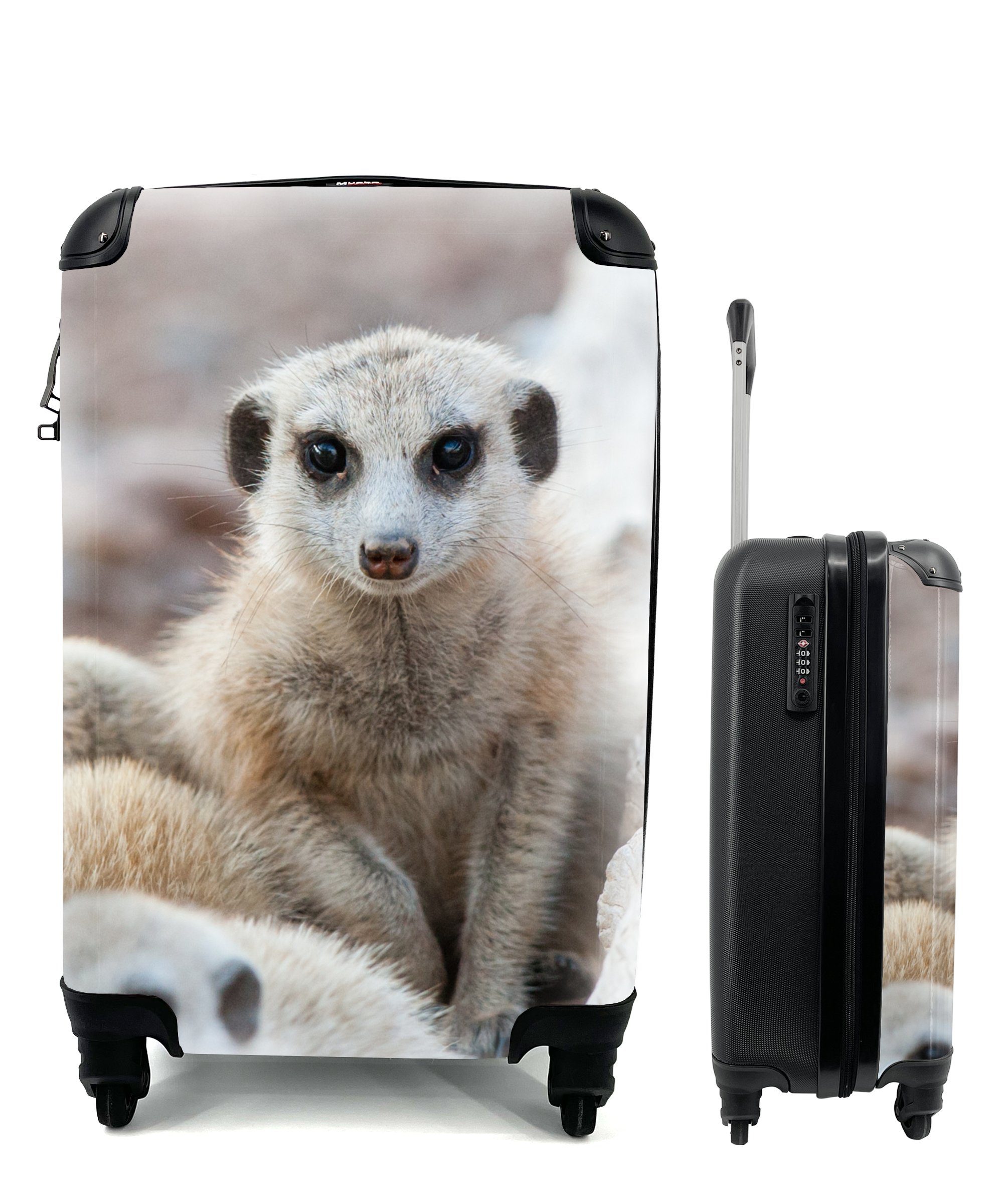 Handgepäckkoffer Neugierige Erdmännchen