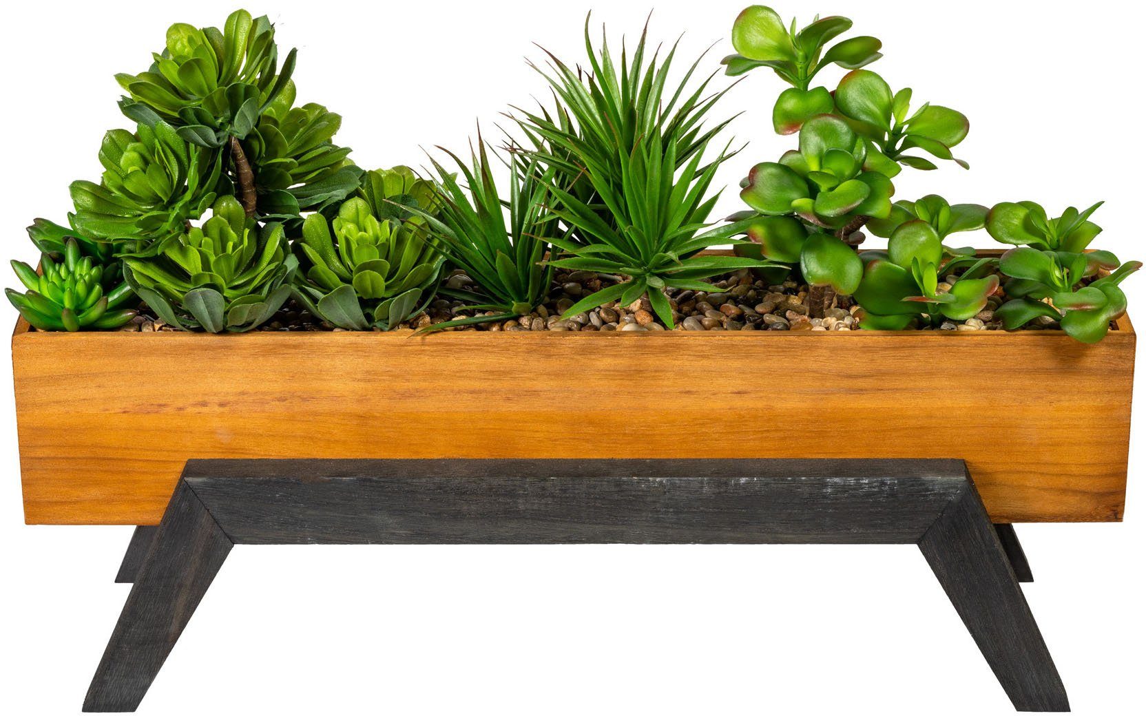 Kunstpflanze »Houlton« Sukkulente, Home affaire, Höhe 36 cm, im Holzkasten-Otto