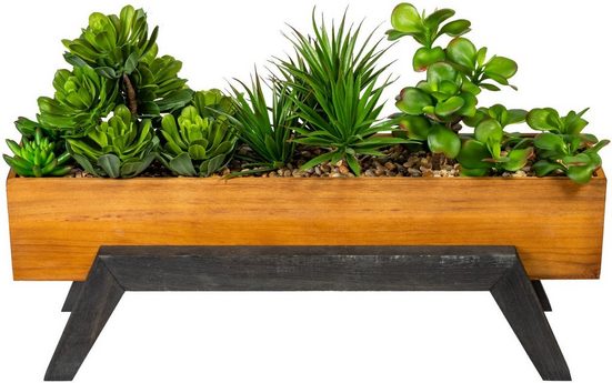 Kunstpflanze »Houlton« Sukkulente, Home affaire, Höhe 36 cm, im Holzkasten