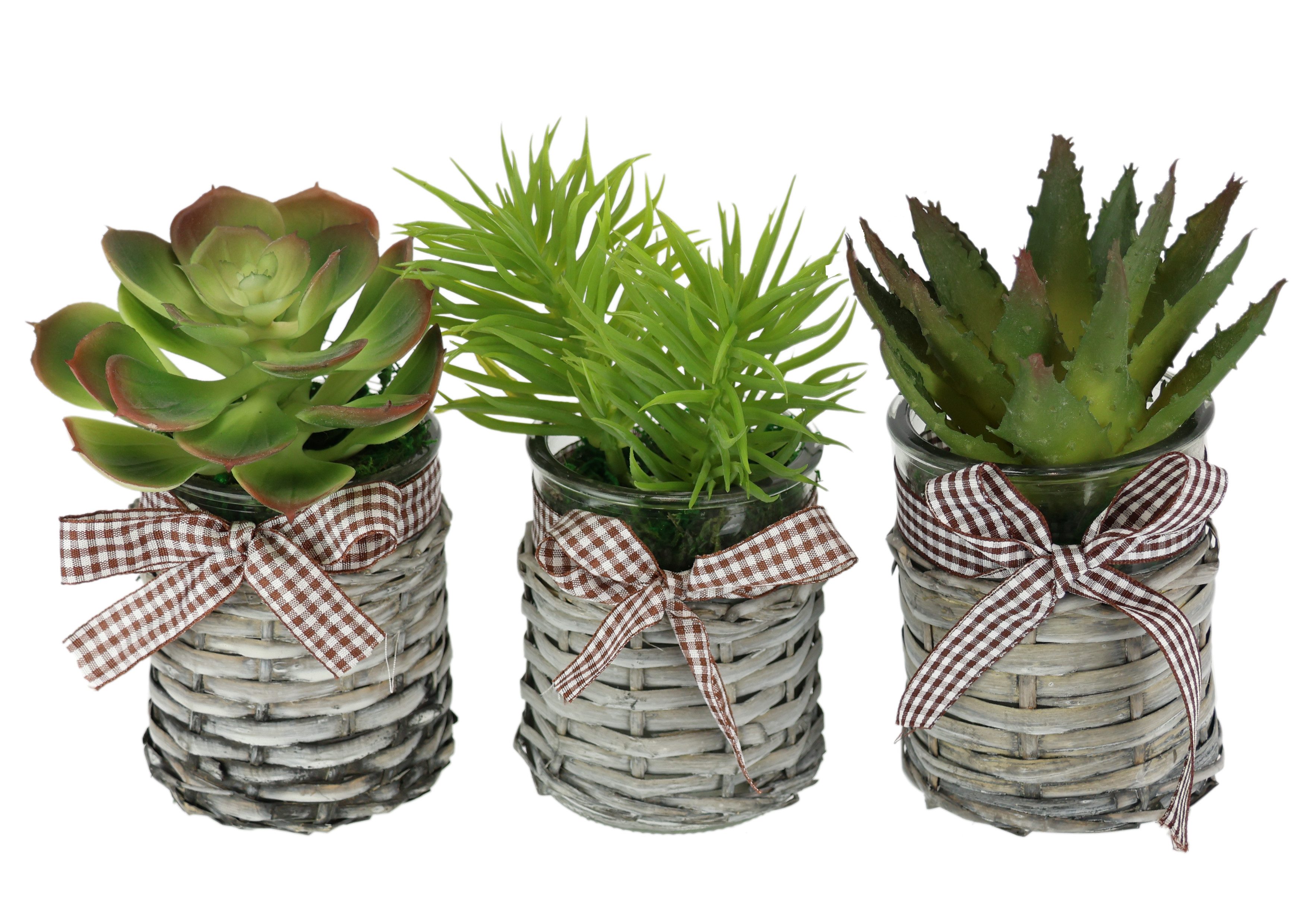 Kunstblume Künstliche Sukkulenten im Topf 3er Set 15cm Agave Aloe Vera Pflanze Kaktus, I.GE.A., Höhe 15 cm, Kunstkaktus Kaktus Pflanze Deko Dekopflanze Kalanchoe Zimmerpflanze