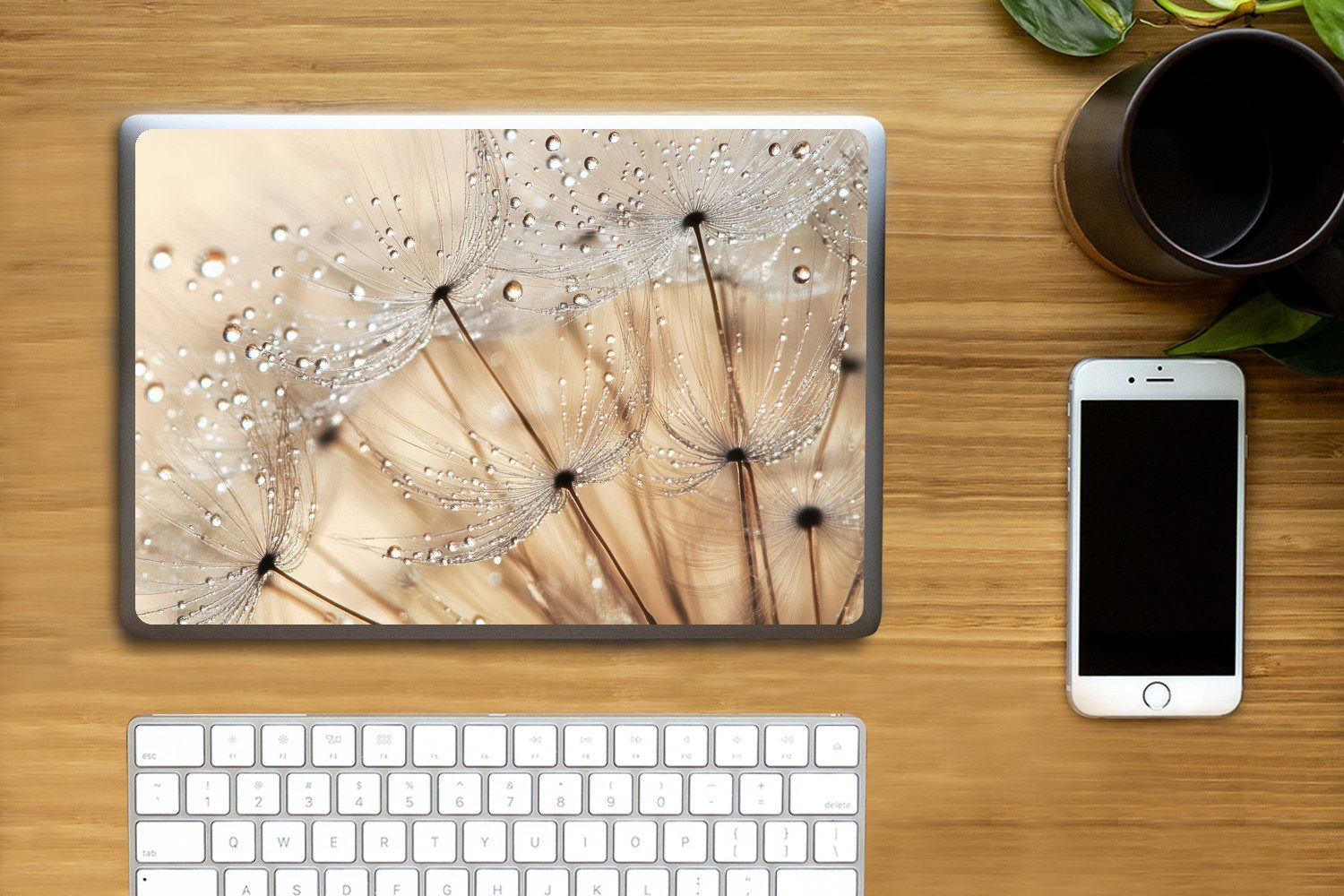 Thumbnail - MuchoWow Laptop-Aufkleber Löwenzahn - Abstrakt - Natur - Beige, (1tlg), Laptop Folien Cover, Aufkleber, Sticker, Schutz ...