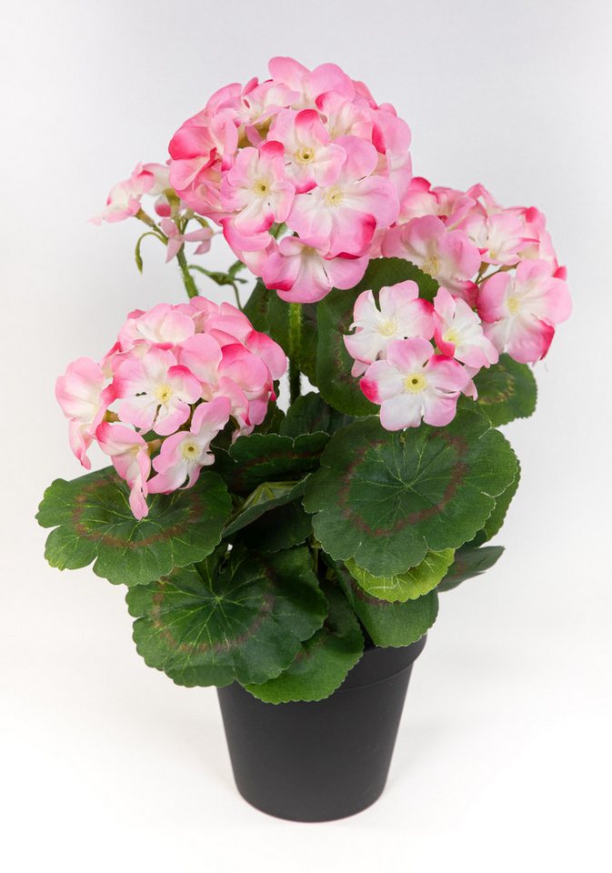 Kunstblume Geranie im Topf 34cm LM Kunstpflanzen künstliche Blumen Pflanzen Pelargonium, Seidenblumen Roß, Höhe 34 cm, Rosa