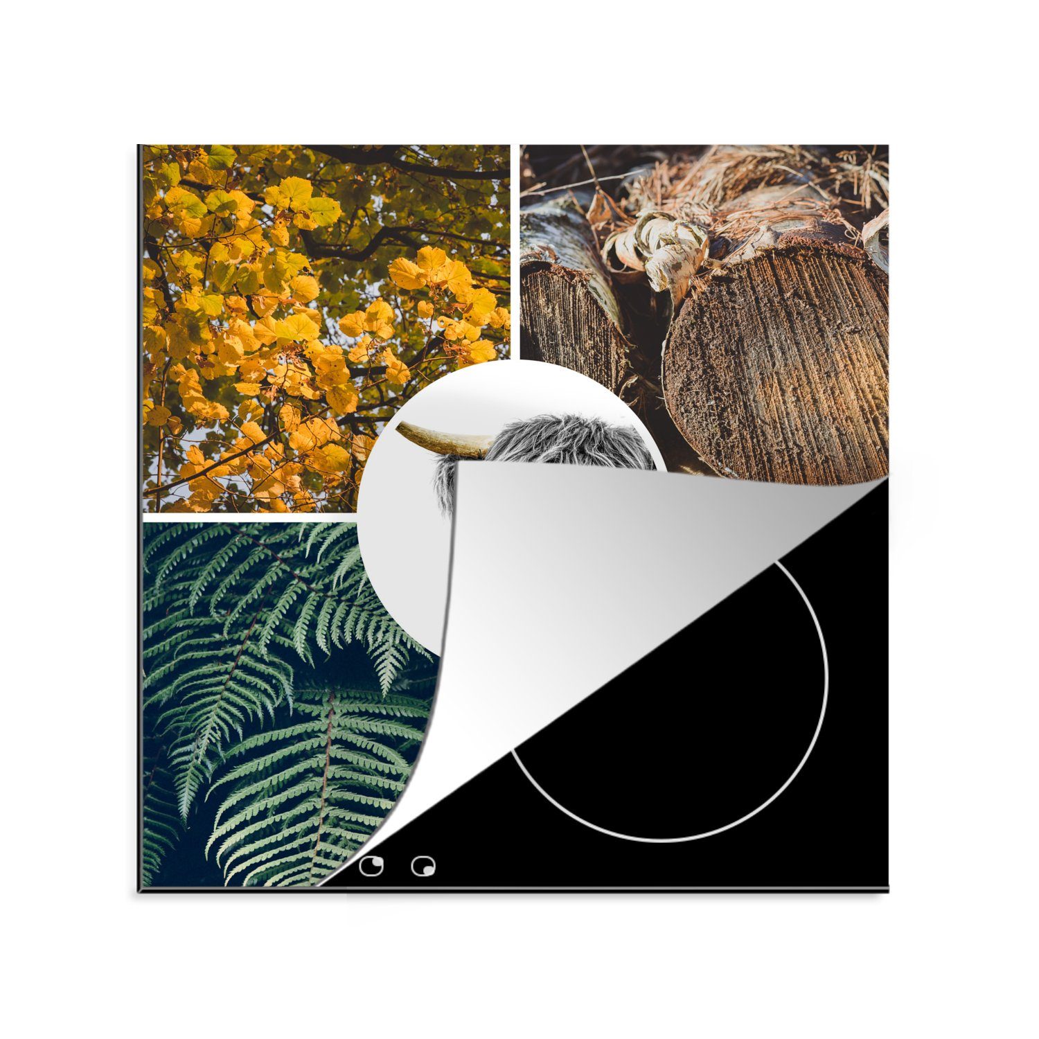MuchoWow Herdblende-/Abdeckplatte Schottische Highlander - Collage - Pflanzen - Baum, Vinyl, (1 tlg), 78x78 cm, Ceranfeldabdeckung, Arbeitsplatte für küche