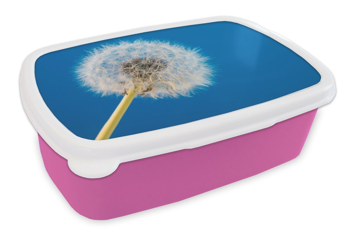 MuchoWow Lunchbox Löwenzahn - Blume - Terrasse, Kunststoff, (2-tlg), Brotbox für Erwachsene, Brotdose Kinder, Snackbox, Mädchen, Kunststoff rosa