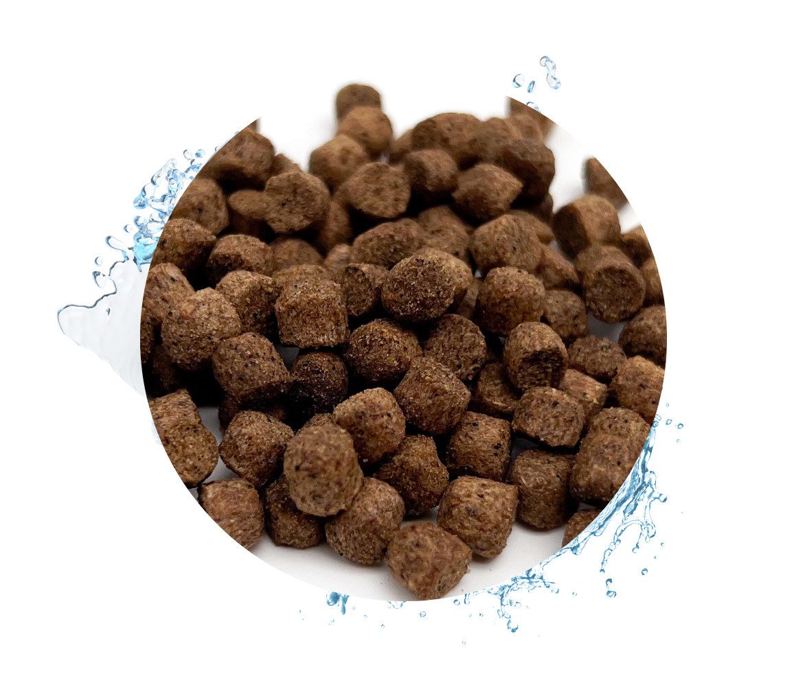 Warnick´s Tierfutterservice Karpfenfutter sinkend 6mm - extrudiertes Alleinfuttermittel, Hauptfutter für: Koi, größere Zier- & Teichfische, Karpfen