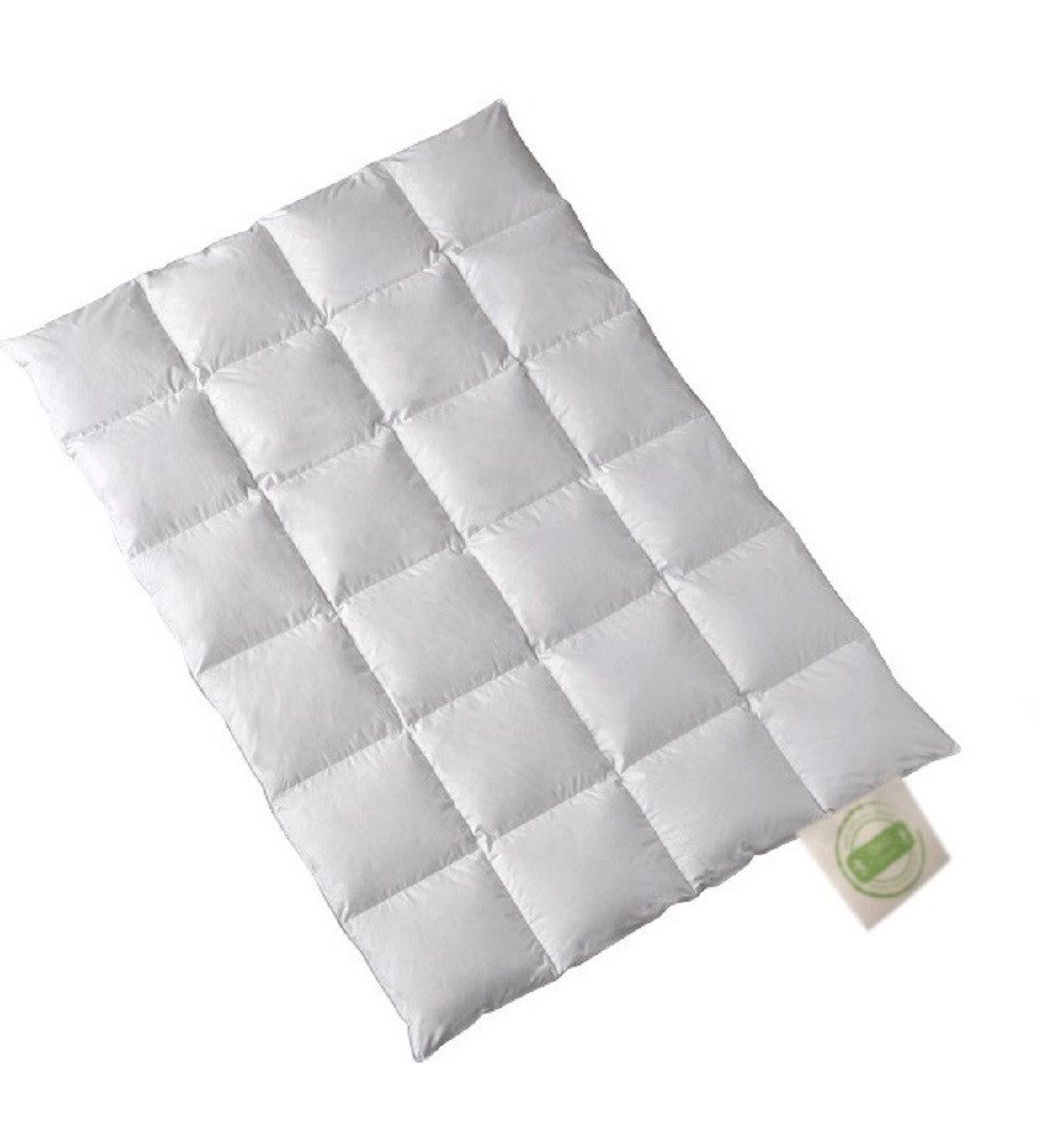 Öko Daune Daunenbettdecke Eco Daune Ganzjahresdecke Daune nachhaltig, Füllu günstig online kaufen