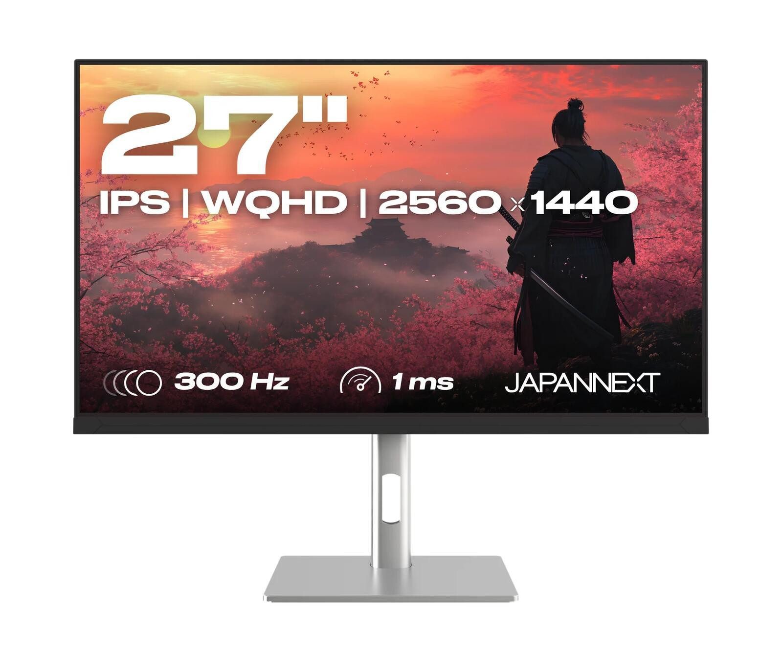 JAPANNEXT Gaming-LED-Monitor (2560 x 1440, 1 ms Reaktionszeit, 300 Hz, ELED)