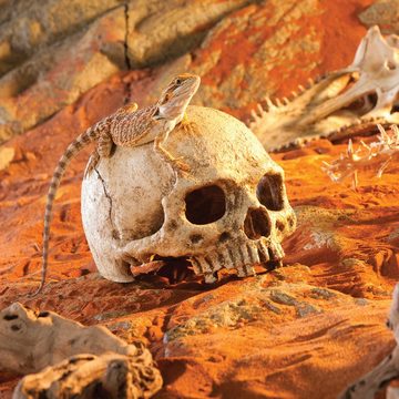 Exo Terra Terrariendeko Versteck Primate Skull