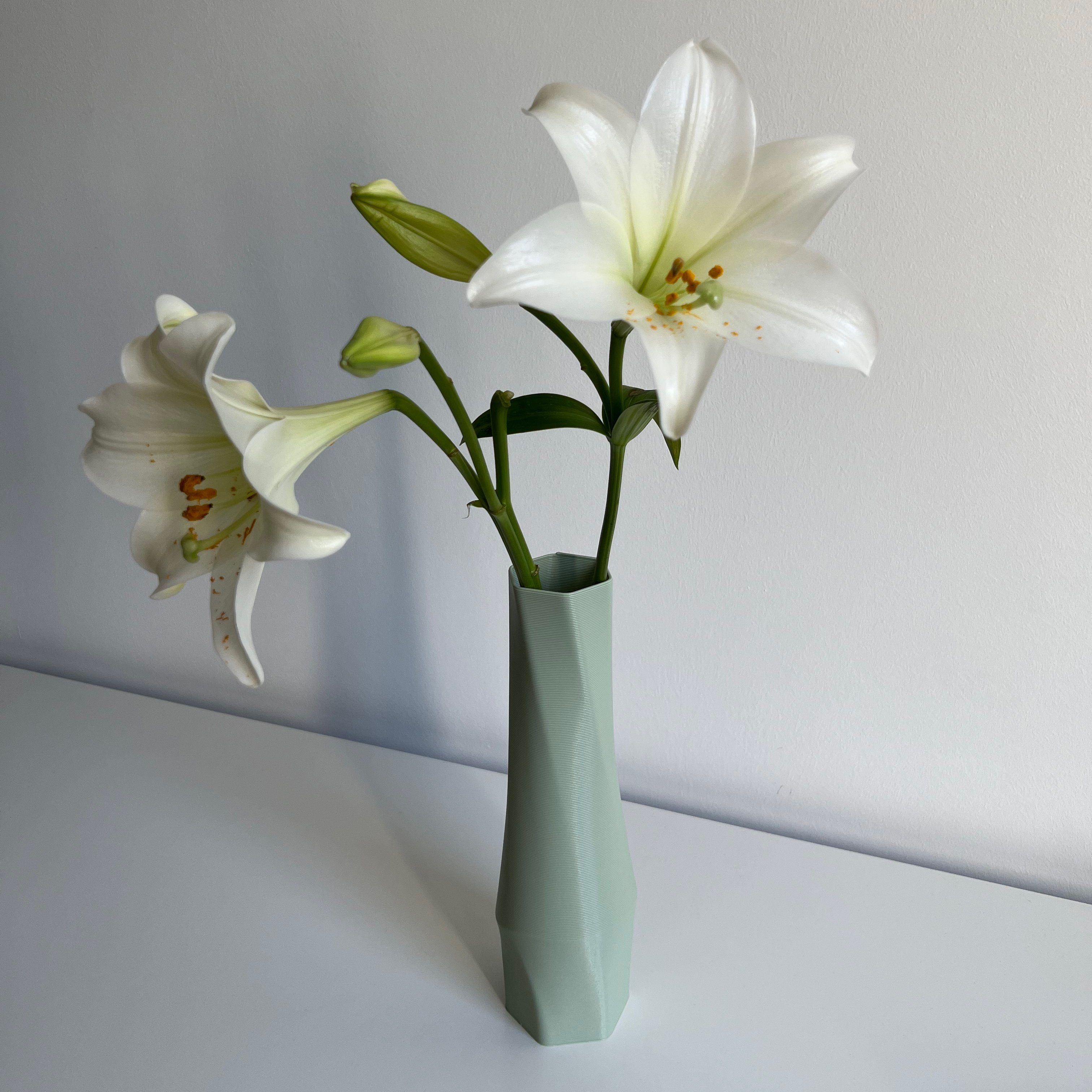 Shapes - Decorations Dekovase the Mintgrün - vase (basic), 1 3D Leichte hexagon Vasen, innerhalb 3D-Druck des 100% Wasserdicht; (Einzelmodell, Farben, Struktur Materials Vase), (Rillung) viele