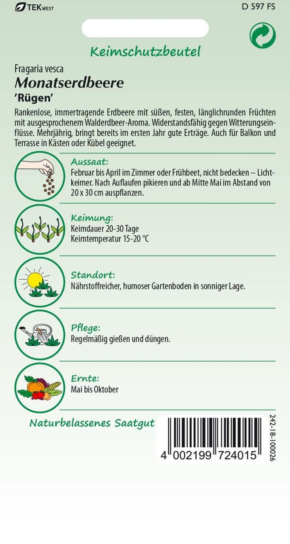 SAMEN PFANN Gemüsesamen Monatserdbeere, Rügen (Walderdbeere) - Erdbeer-Samen Saatgut Samen, Fragaria vesca