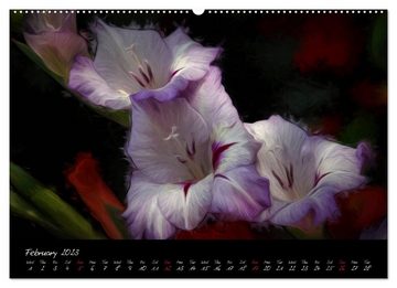 CALVENDO Wandkalender Gladiolus Floral Impressions (Premium-Calendar 2023 DIN A2 Landscape)