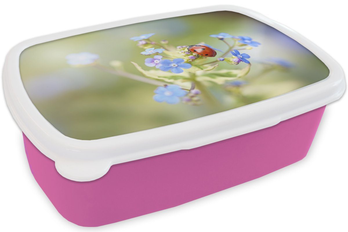 rosa für Kunststoff, Kinder, (2-tlg), Brotdose Marienkäfer Snackbox, - - Mädchen, Blume Erwachsene, Brotbox MuchoWow Frühling, Kunststoff Lunchbox