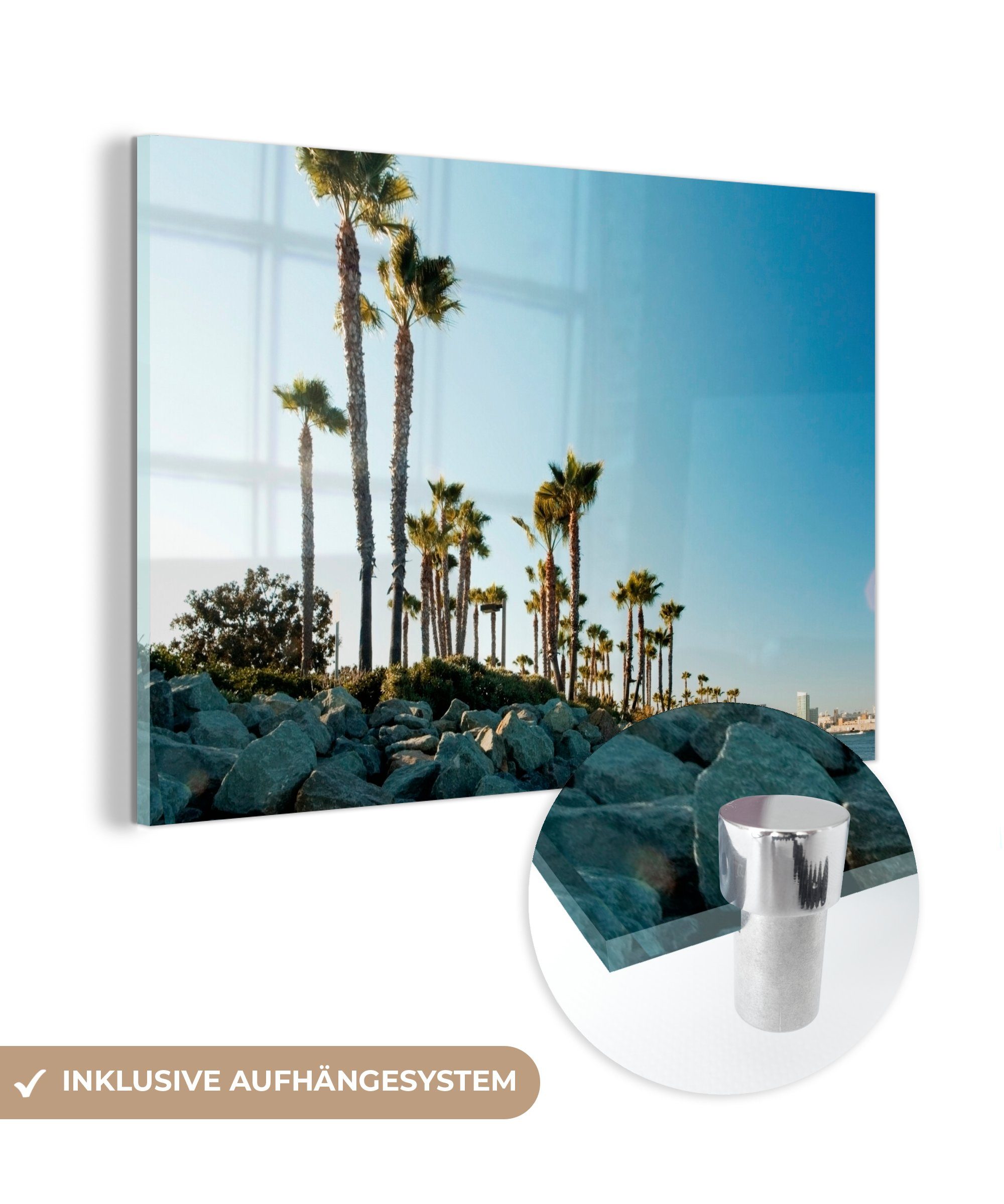 MuchoWow Acrylglasbild Palmen - Himmel - San Diego, (1 St), Acrylglasbilder Wohnzimmer & Schlafzimmer | Bilder