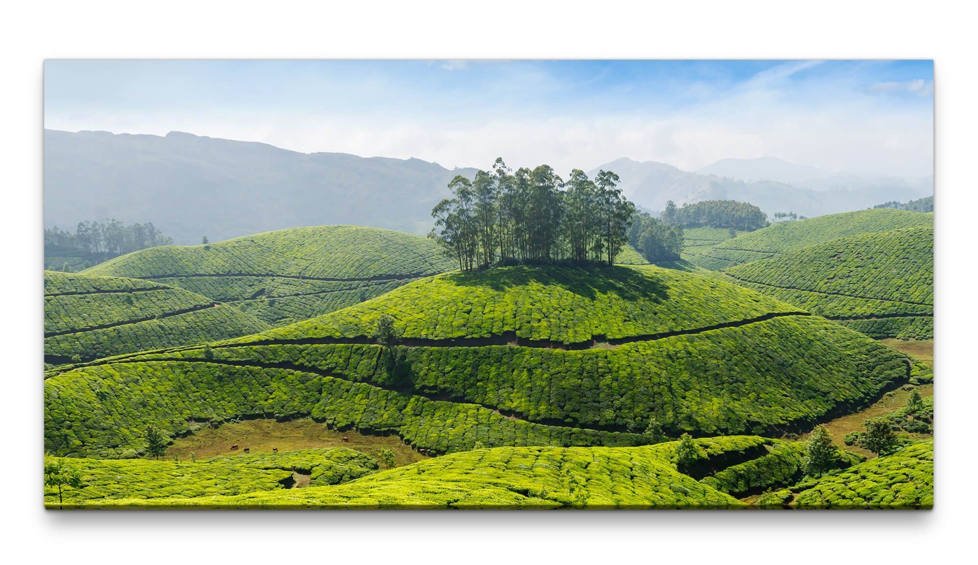 Leinwandbild Bilder XXL Indien 50x100cm Wandbild auf Leinwand
