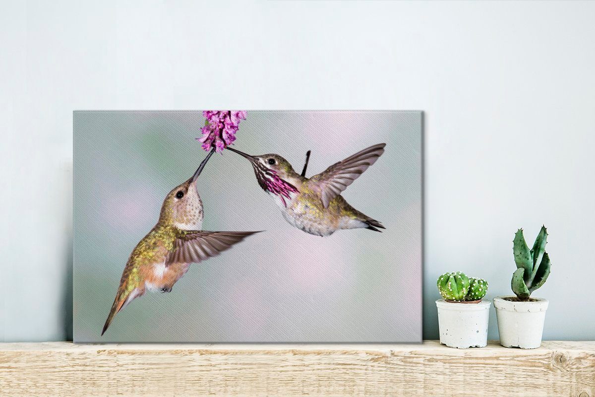 OneMillionCanvasses® Leinwandbild Kolibri - Vögel Leinwandbilder, Aufhängefertig, Wandbild cm St), Wanddeko, - (1 Pflanze, 30x20
