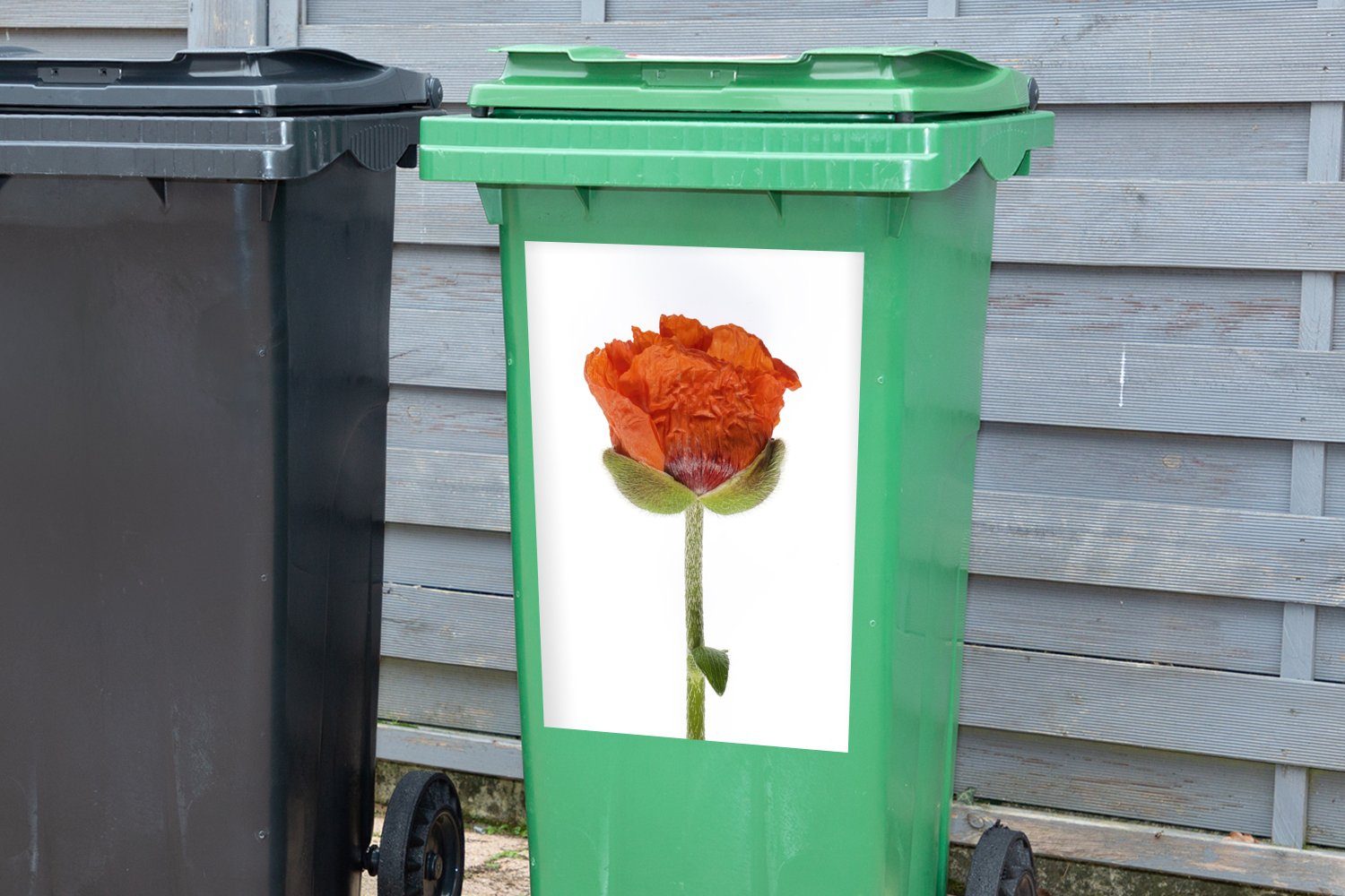 Container, weißem vor (1 Oranger Wandsticker Mohn Hintergrund Sticker, Abfalbehälter St), MuchoWow Mülleimer-aufkleber, Mülltonne,