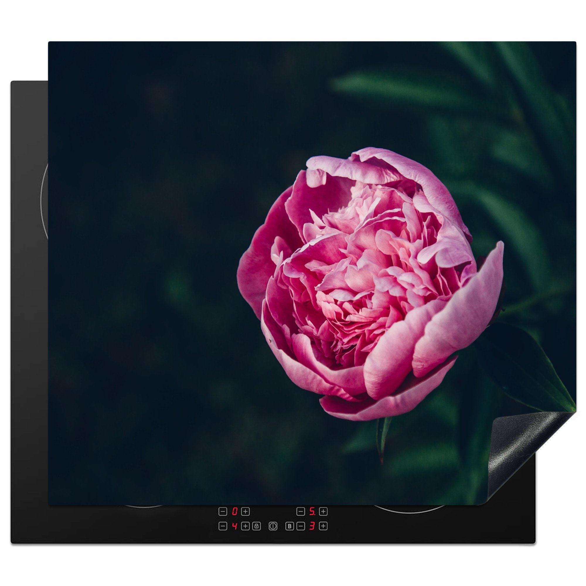 MuchoWow Herdblende-/Abdeckplatte Blumen - Rosa - Rosen, Vinyl, (1 tlg), 57x51 cm, Induktionsschutz, Induktionskochfeld, Ceranfeldabdeckung