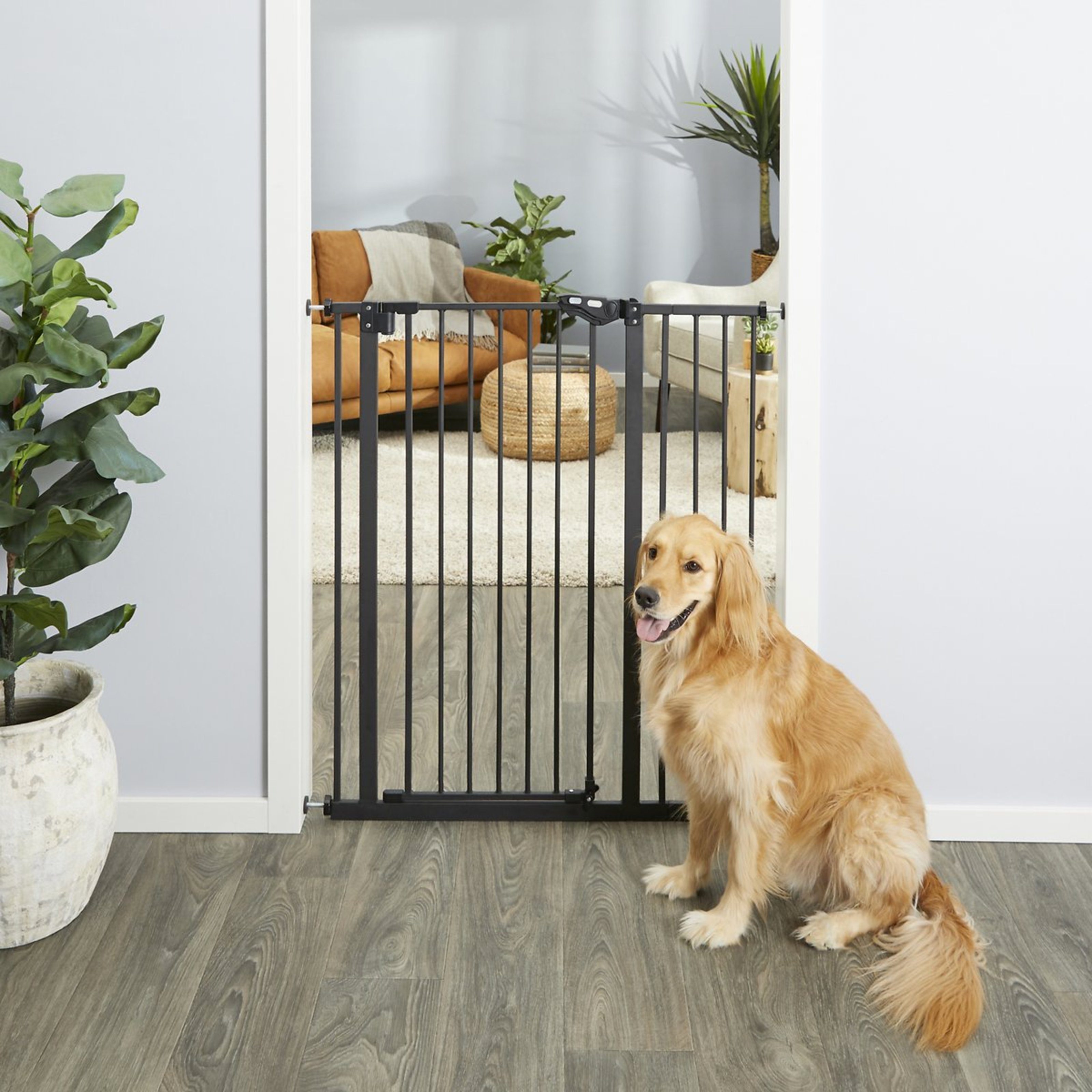 Dehner Hunde-Geschirr Treppenschutzgitter, 104 x 74-96.5 günstig online kaufen