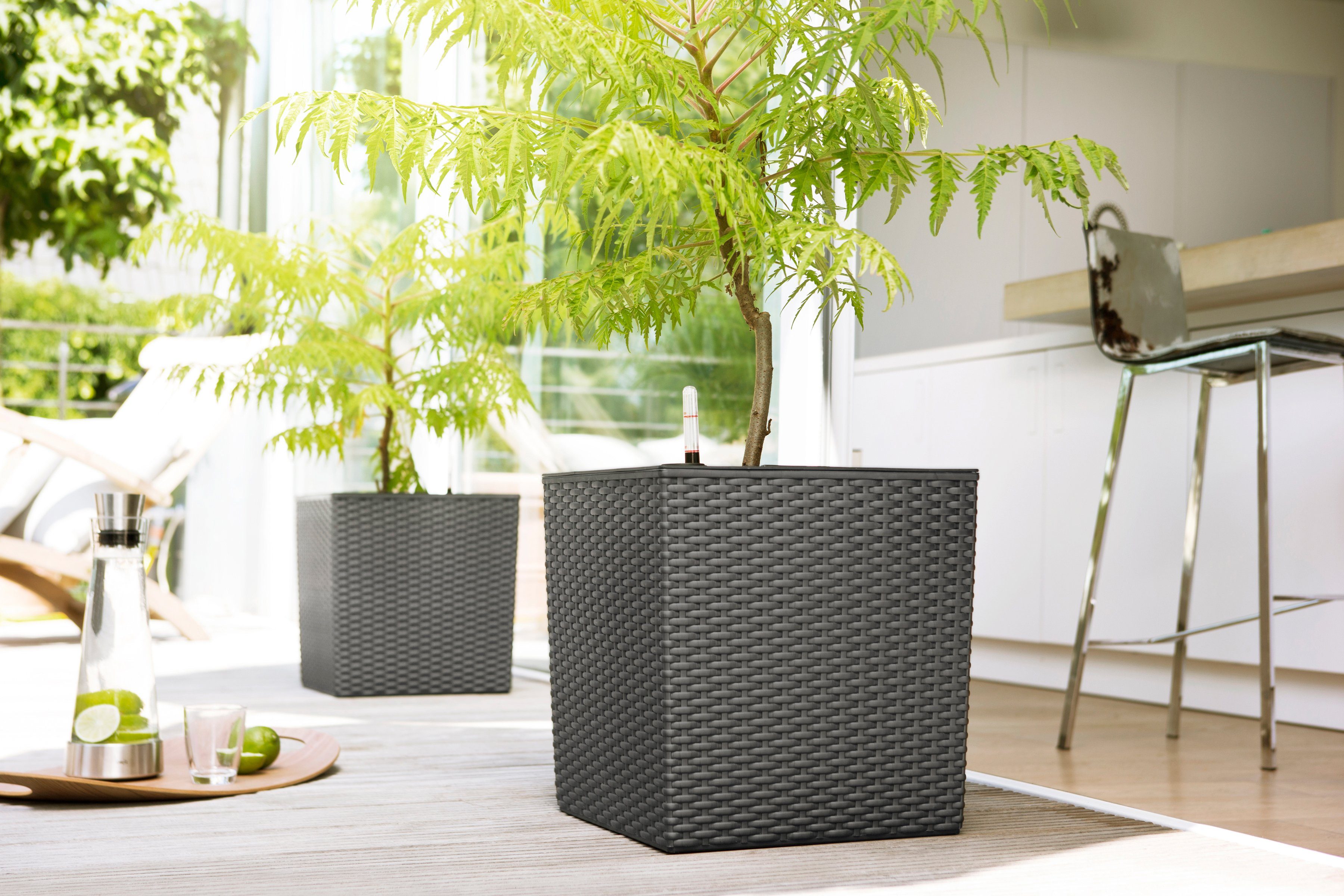 Poétic Blumenkasten CASA MESH Würfel, BxTxH: 30x30x31cm, Designorientiertes  Konzept im Trend der modernen Stilwelt