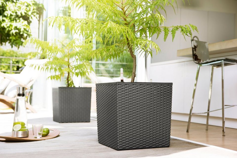 der 30x30x31cm, Designorientiertes Blumenkasten modernen im BxTxH: CASA Stilwelt Konzept MESH Poétic Trend Würfel,