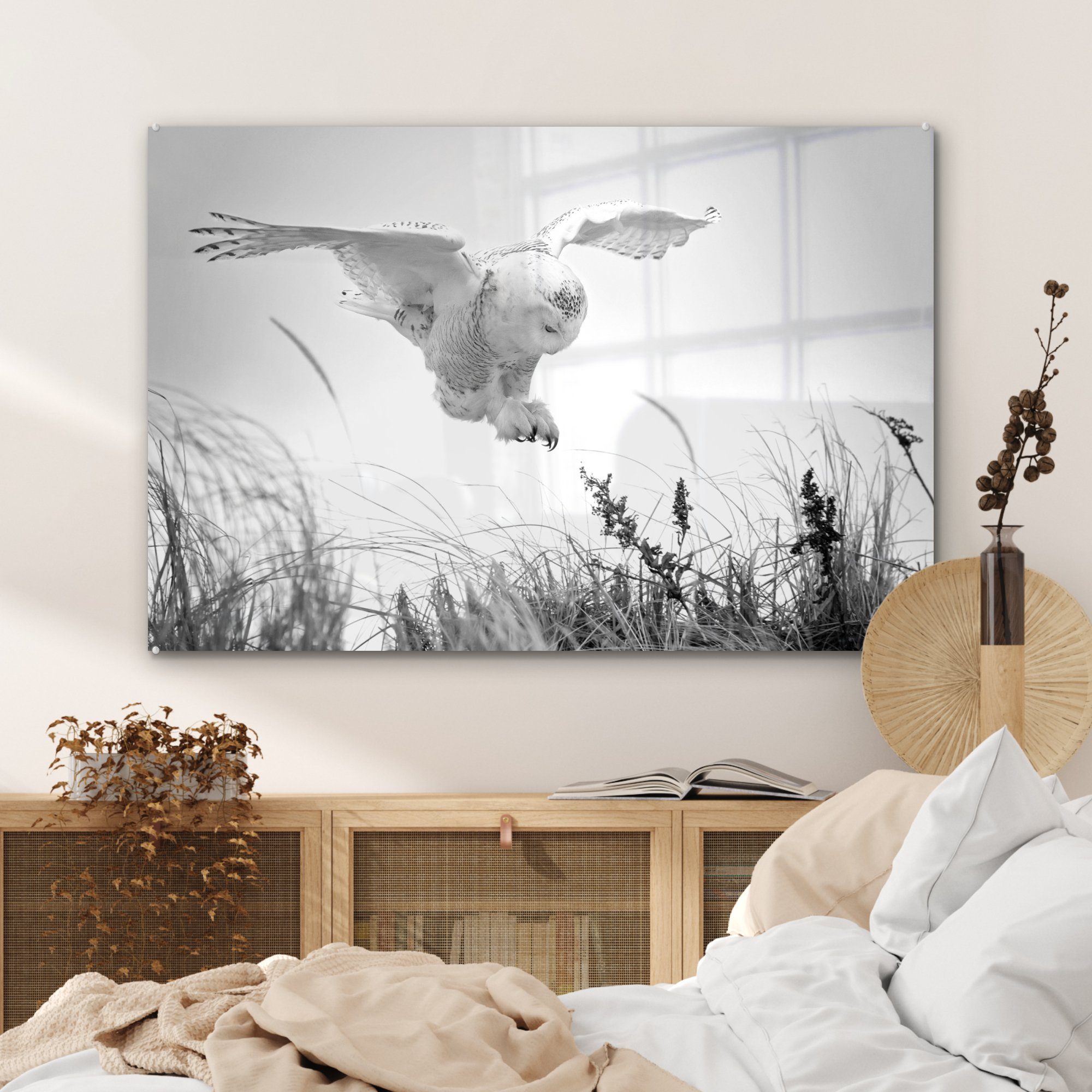Schneeeule St), MuchoWow einer landet Acrylglasbild & und Wohnzimmer auf Schlafzimmer - weiß, (1 schwarz Acrylglasbilder Sanddüne