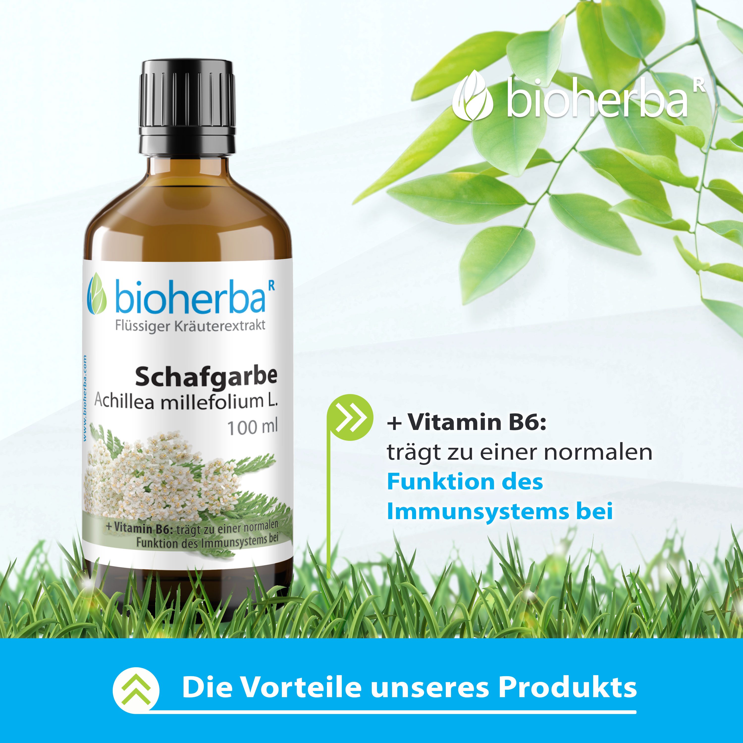 BIOHERBA R Bioherba Schafgarbe Achillea millefolium L. 100 ml Glasflasche, 1 er