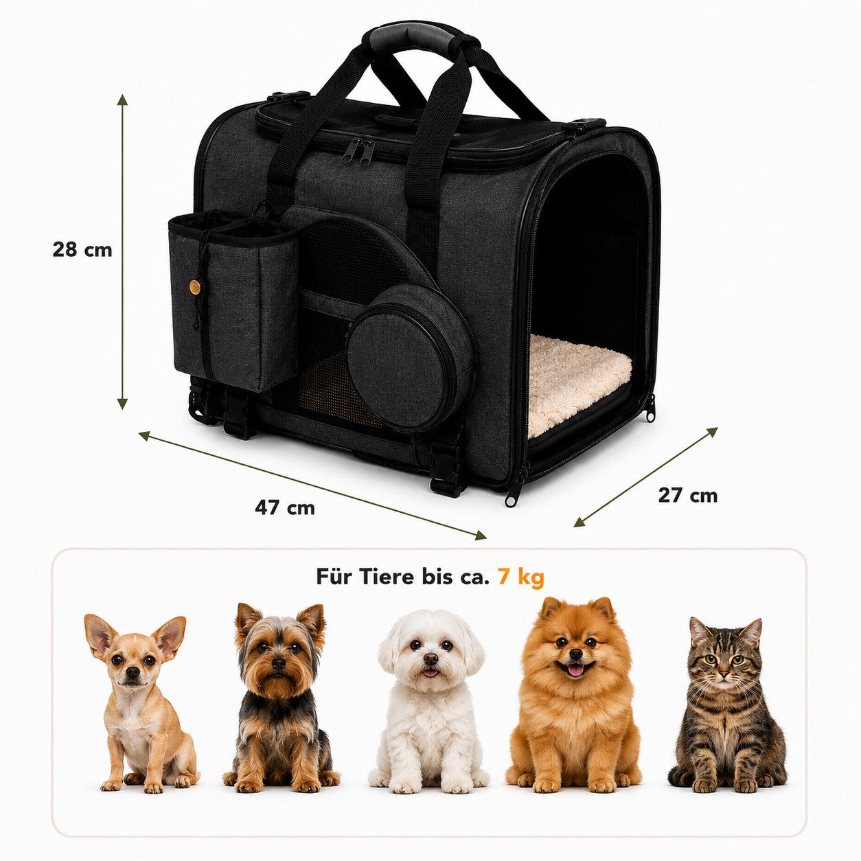 Kaiser24 Hunde-Transportbox Hundetransportbox 47x27x28 cm für kleine Hunde & Katzen bis 7 kg