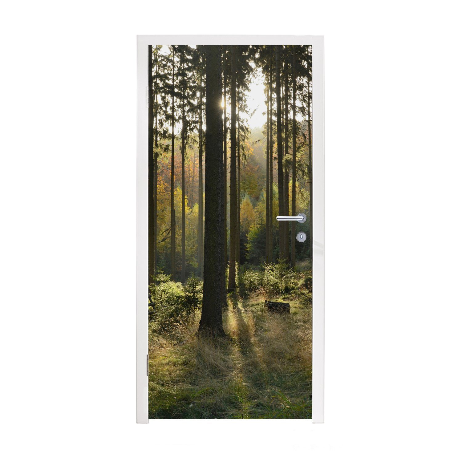 MuchoWow Türtapete Wald - Sommer - Sonne, Matt, bedruckt, (1 St), Fototapete für Tür, Türaufkleber, 75x205 cm
