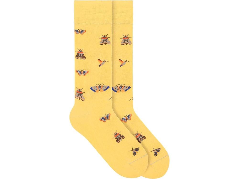 Moth - Daffodil Yellow