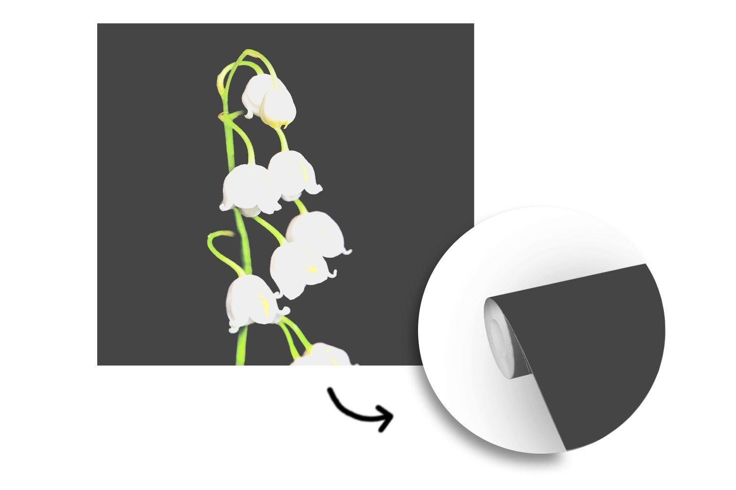 Maiglöckchen Vliestapete (4 Blumen Schwarz bedruckt, Fototapete - Küche, für - Wohnzimmer - Flora, Matt, St), Fototapete Schlafzimmer MuchoWow