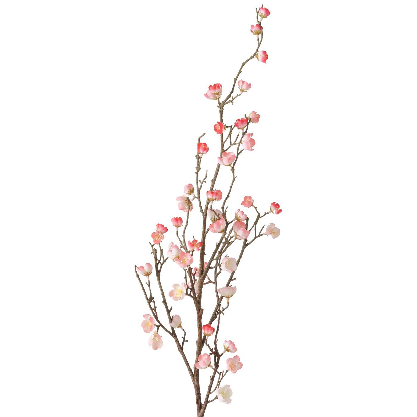 Kunstzweig Boltze Dekozweig Pfirsichblüte, Hellrosa, 2043905, günstig online kaufen