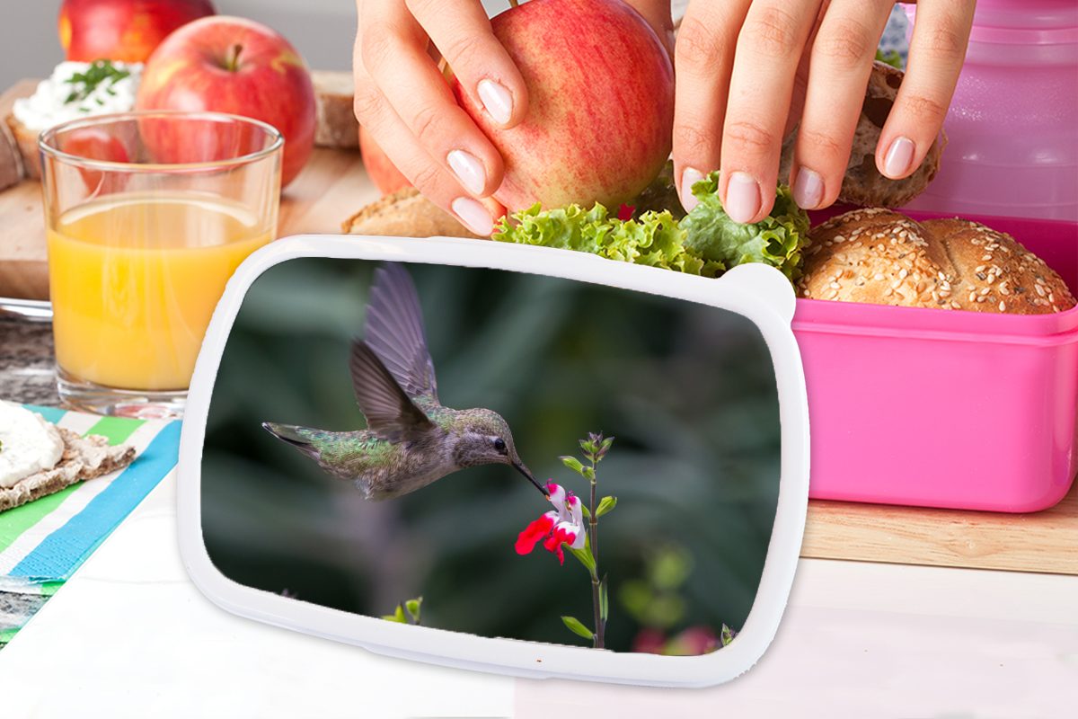 MuchoWow Lunchbox Kolibri - Brotdose rosa Snackbox, Kunststoff Mädchen, - (2-tlg), Blume Kinder, für Rot, Kunststoff, Brotbox Erwachsene