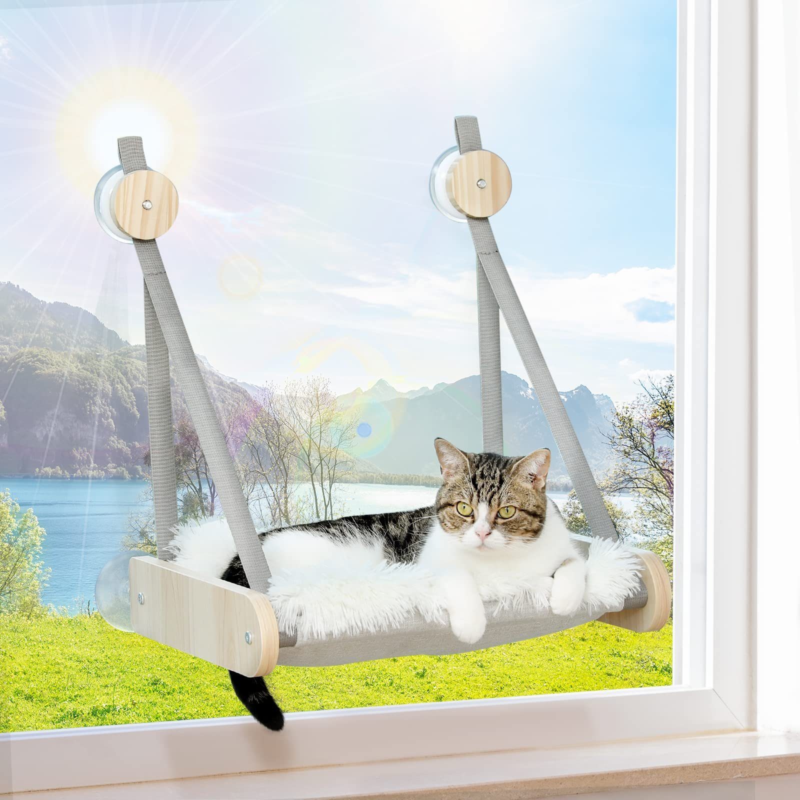 Purpurra Katzen-Hängematte Katzenfensterliege, Single / doppel günstig online kaufen