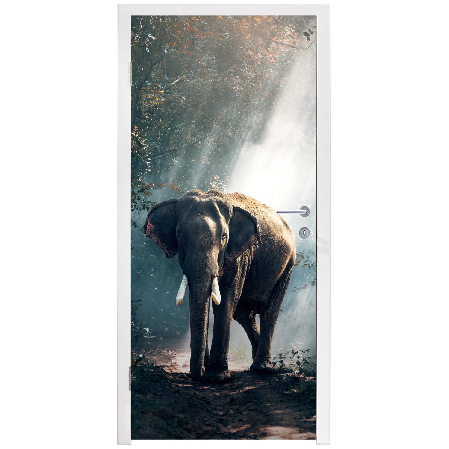für - - Tiere Wald Tür, (1 Wildtiere, bedruckt, MuchoWow - Elefant cm - 75x205 - Türtapete Türaufkleber, Natur St), Matt, Fototapete Licht