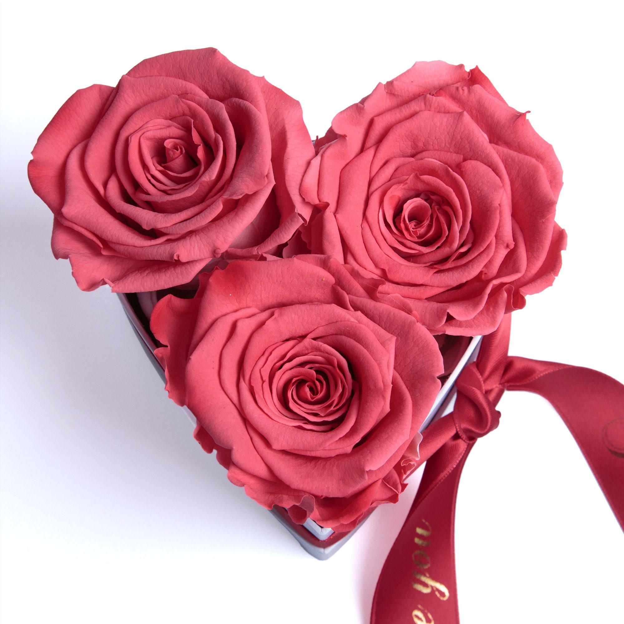 Heidelberg, Rosenbox Geschenk Rosen für Valentinstag cm, Box Infinity 8.5 ROSEMARIE SCHULZ I Herz Love Kunstblume Höhe in konservierte Sie 3 Korall-Rot You Rose,
