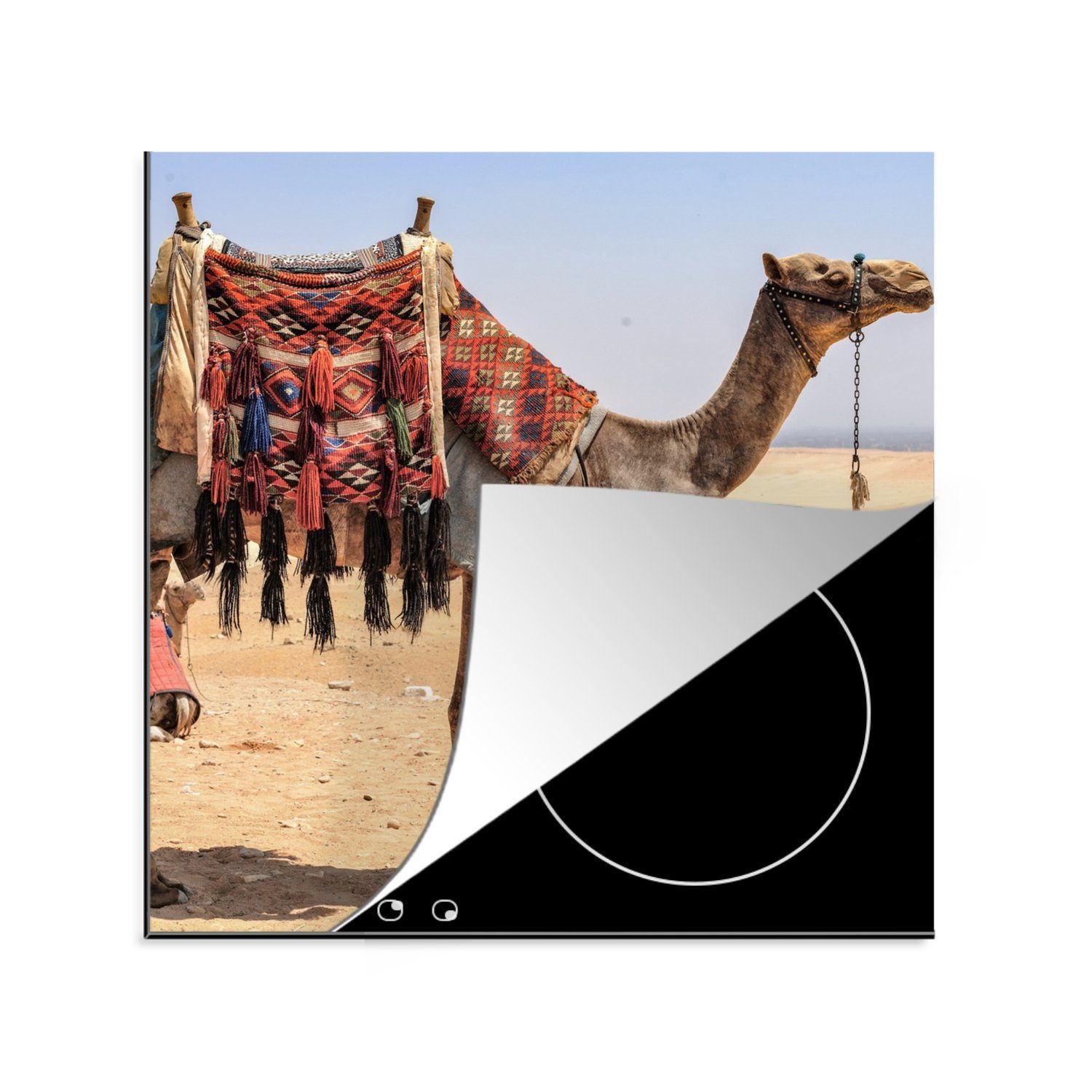 MuchoWow Herdblende-/Abdeckplatte Ägypten - Wüste - Kamel, Vinyl, (1 tlg), 78x78 cm, Ceranfeldabdeckung, Arbeitsplatte für küche