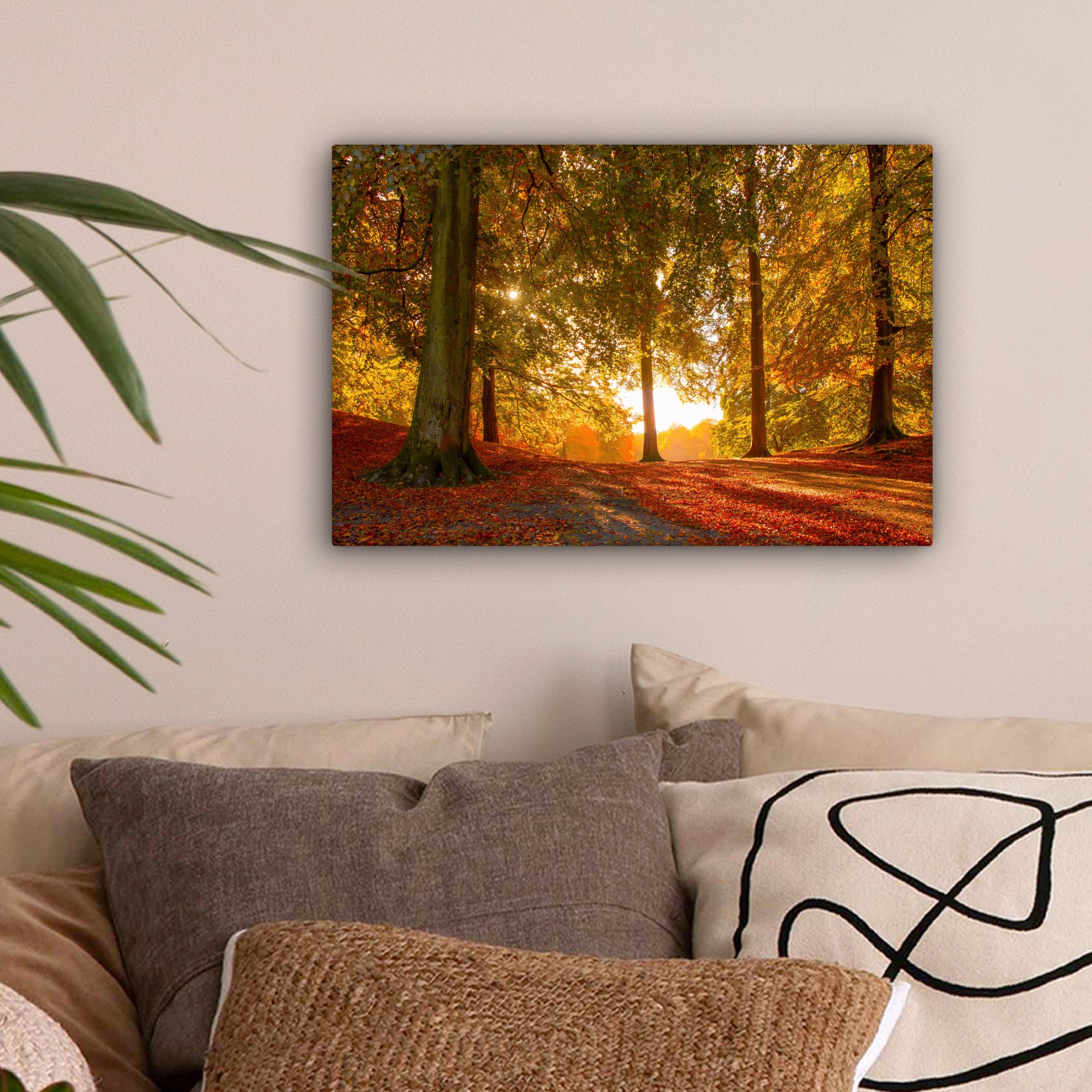 OneMillionCanvasses® Leinwandbild Herbst - Licht - günstig online kaufen