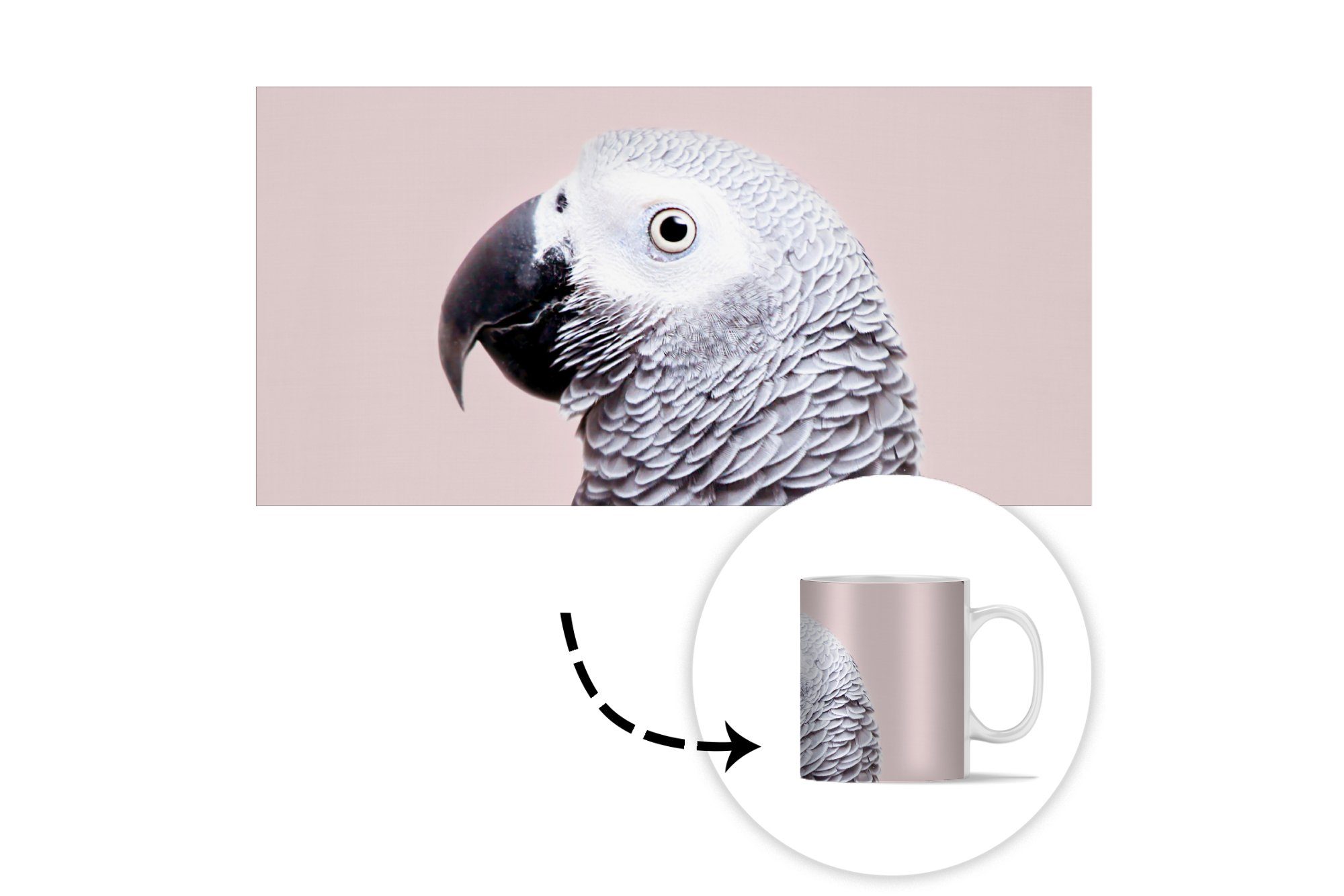 Tasse - - Teetasse, Natur, Kaffeetassen, Geschenk Becher, - Grau Teetasse, Tiere Papagei MuchoWow Keramik,