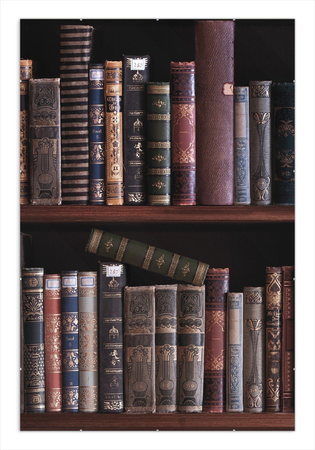 Wallario Poster, Bücherregal mit alten Büchern, in verschiedenen Ausführungen