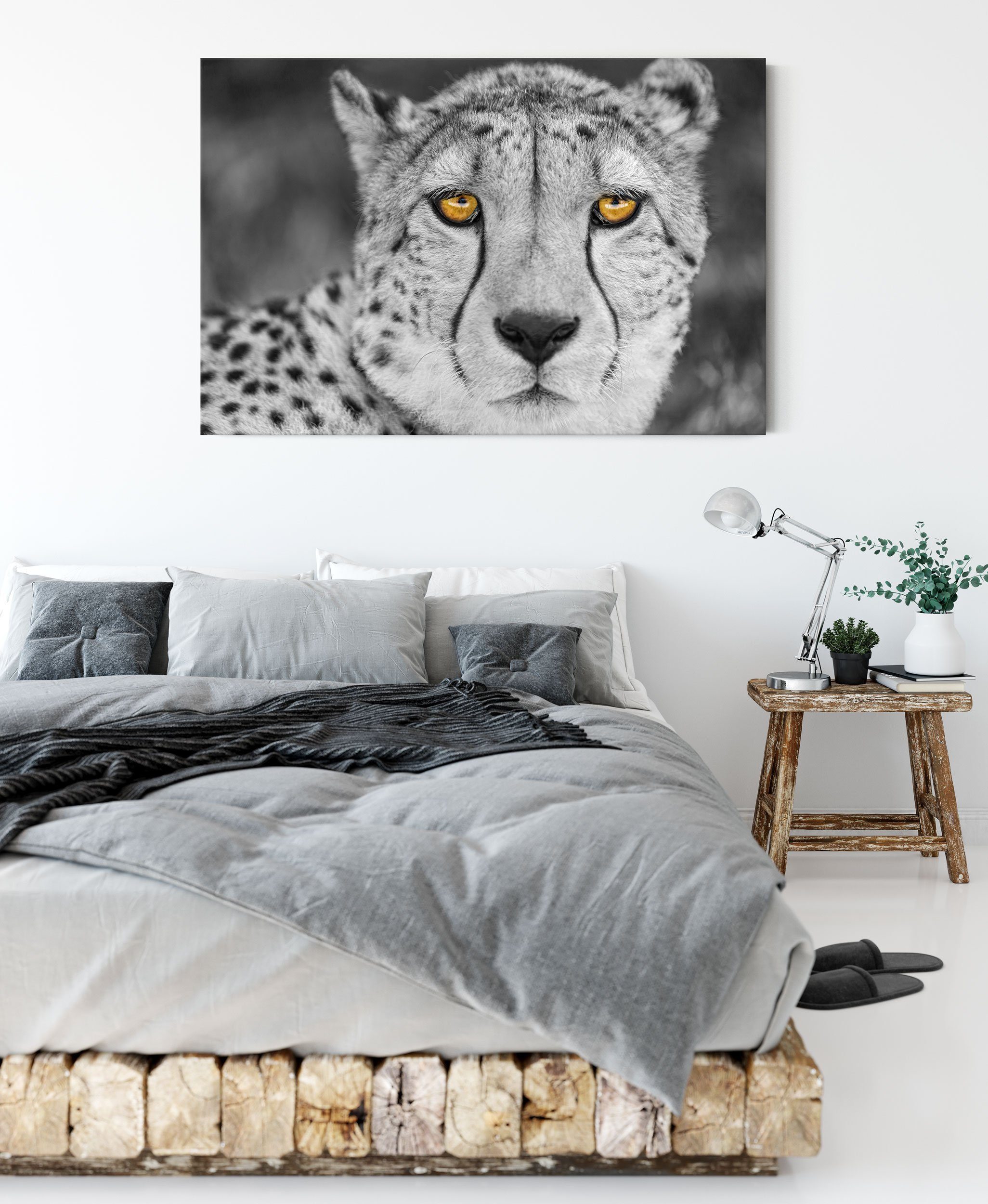 Pixxprint Leinwandbild ruhender Gepard, Zackenaufhänger Gepard bespannt, ruhender fertig inkl. St), (1 Leinwandbild