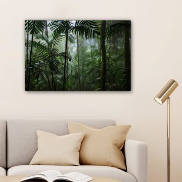 OneMillionCanvasses® Leinwandbild Regenwald - Tropisch - Dschungel - Bäume - Pflanzen, Grün (1 St), Leinwandbilder XXL für Wohnzimmer 150x100 cm