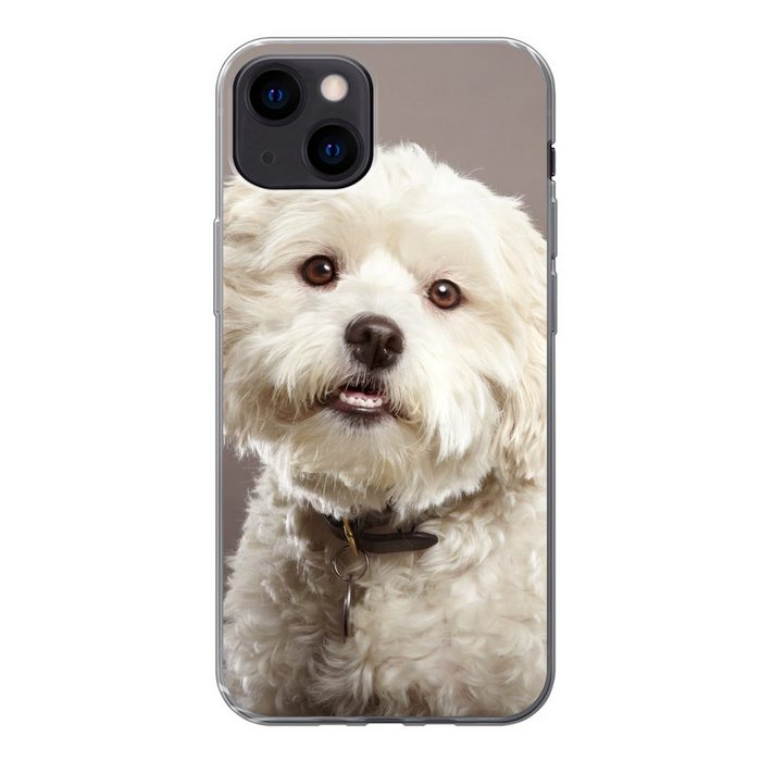 MuchoWow Handyhülle Malteser Hund Porträt Handyhülle Apple iPhone 13 Smartphone-Bumper Print Handy
