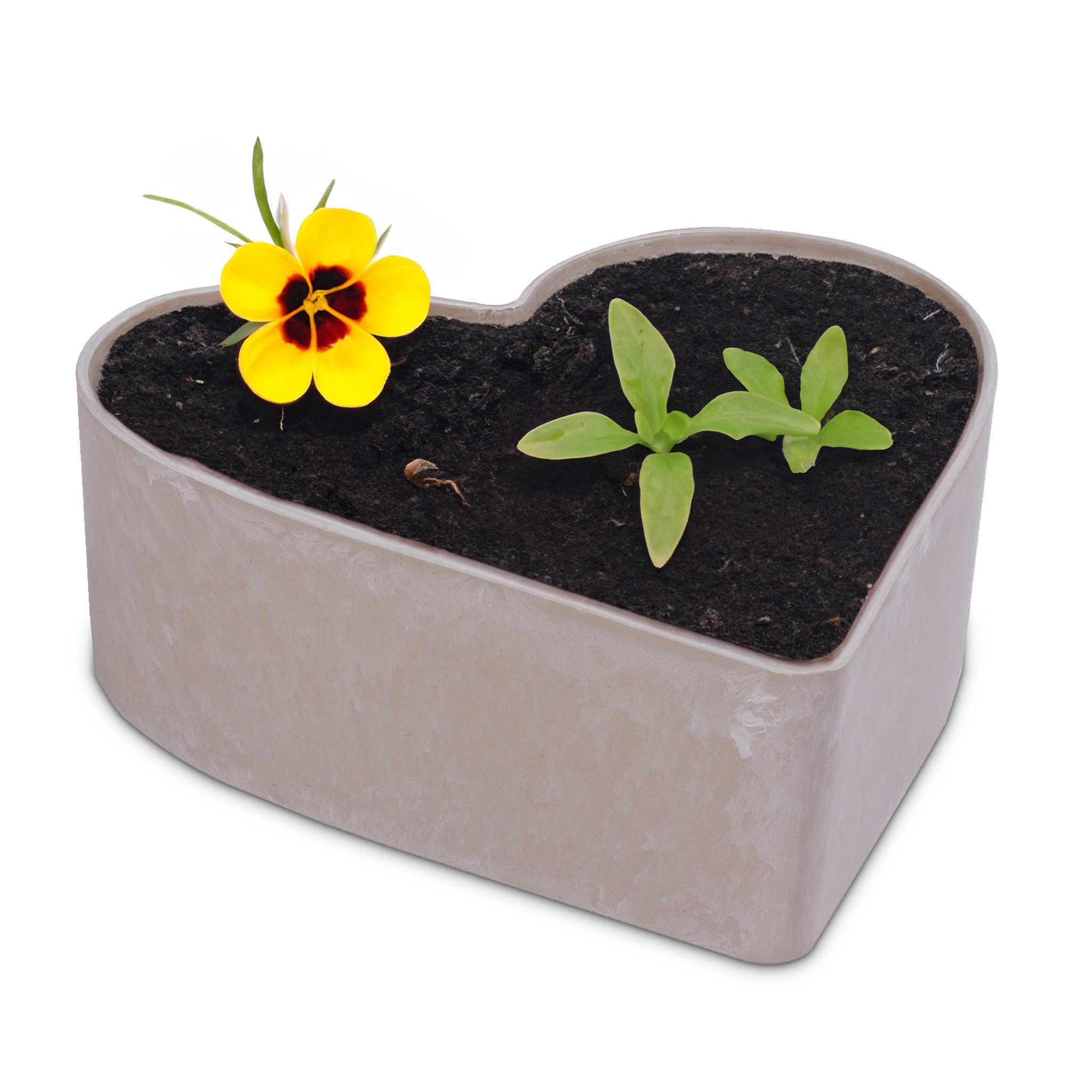 matches21 HOME & HOBBY Blumentopf Herz günstig online kaufen