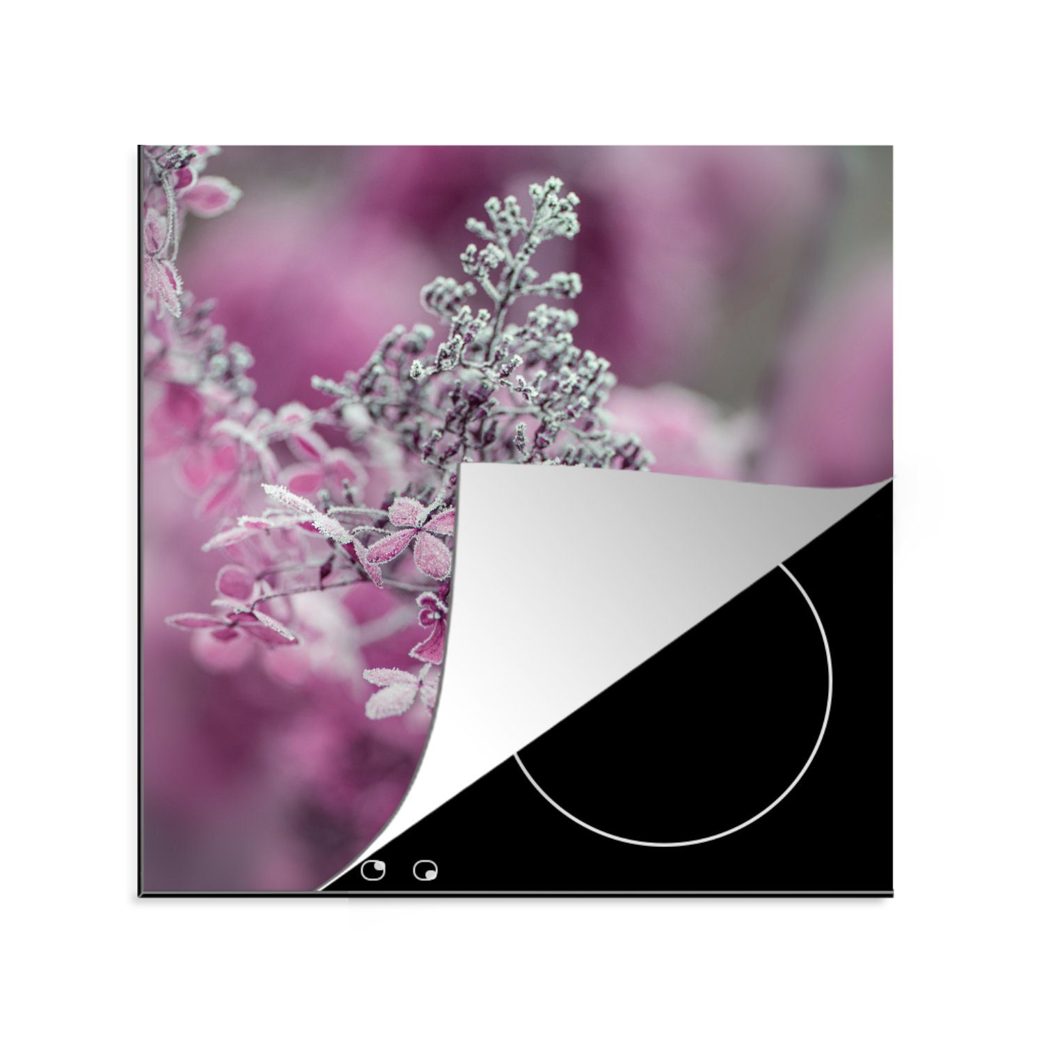 MuchoWow Herdblende-/Abdeckplatte Nahaufnahme von gefrorenen Hortensienblüten, Vinyl, (1 tlg), 78x78 cm, Ceranfeldabdeckung, Arbeitsplatte für küche