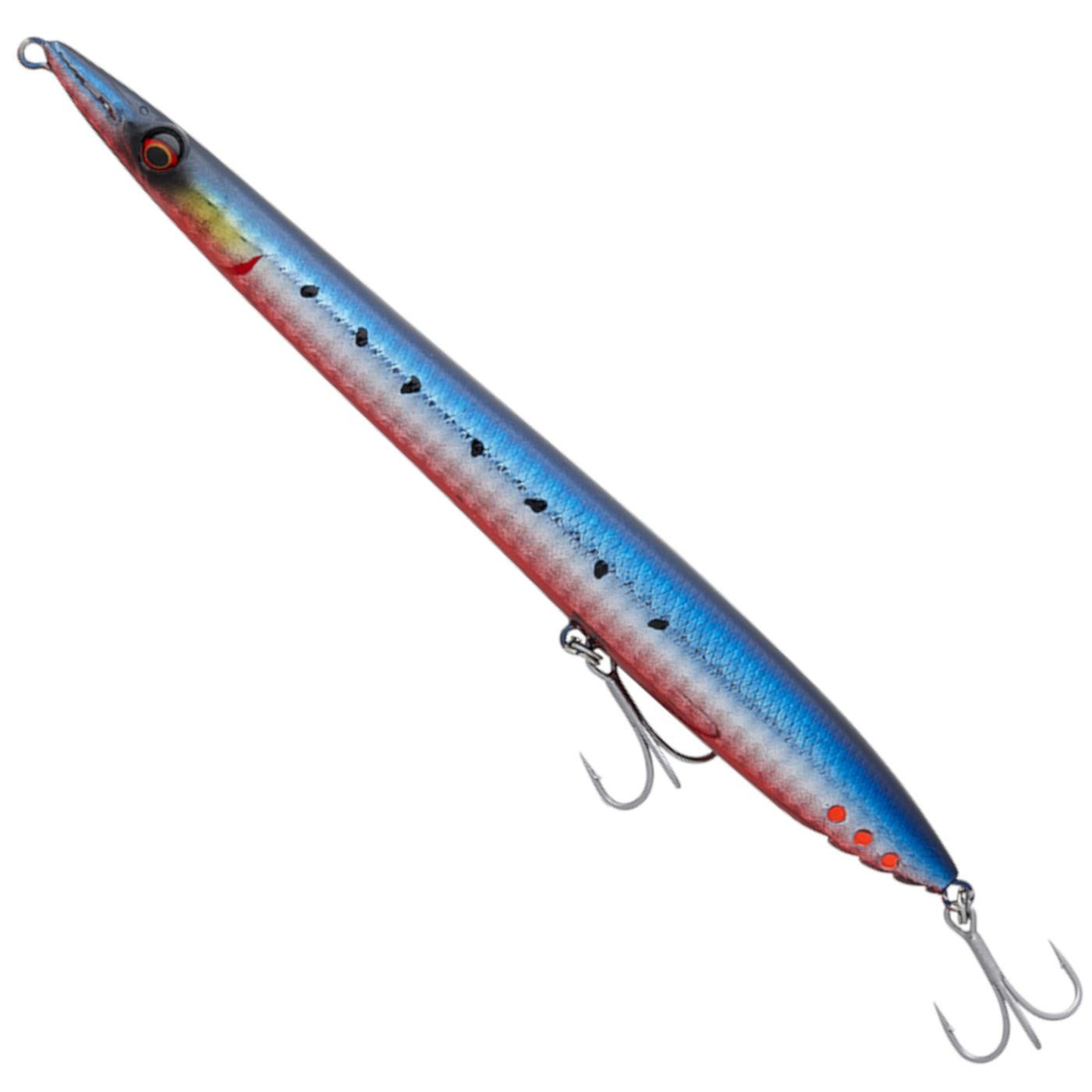 Red Belly Sardine