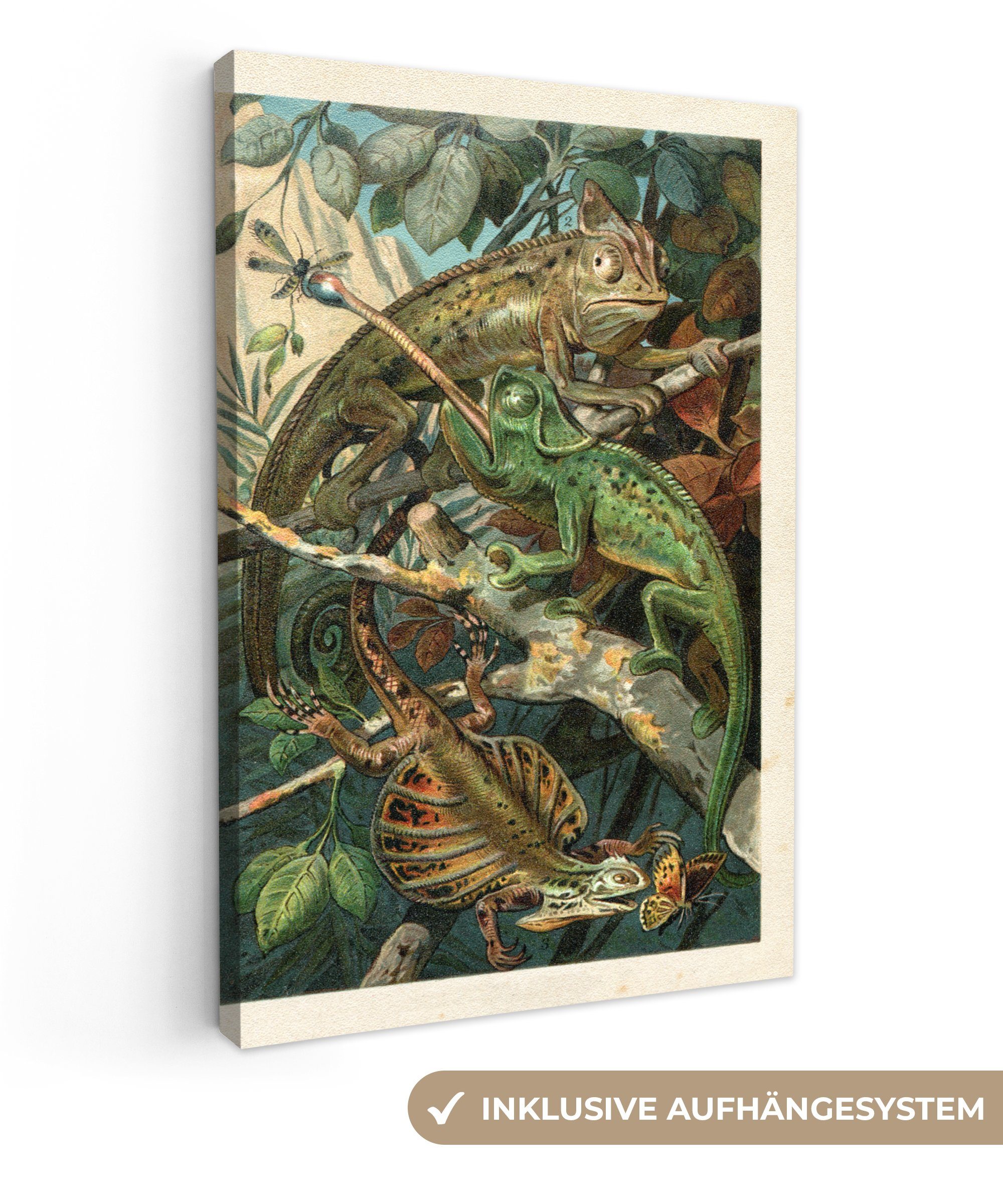 Reptilien bespannt (1 Vintage Leinwandbild Pflanzen, Zackenaufhänger, St), Leinwandbild OneMillionCanvasses® inkl. - fertig 20x30 - cm Gemälde,